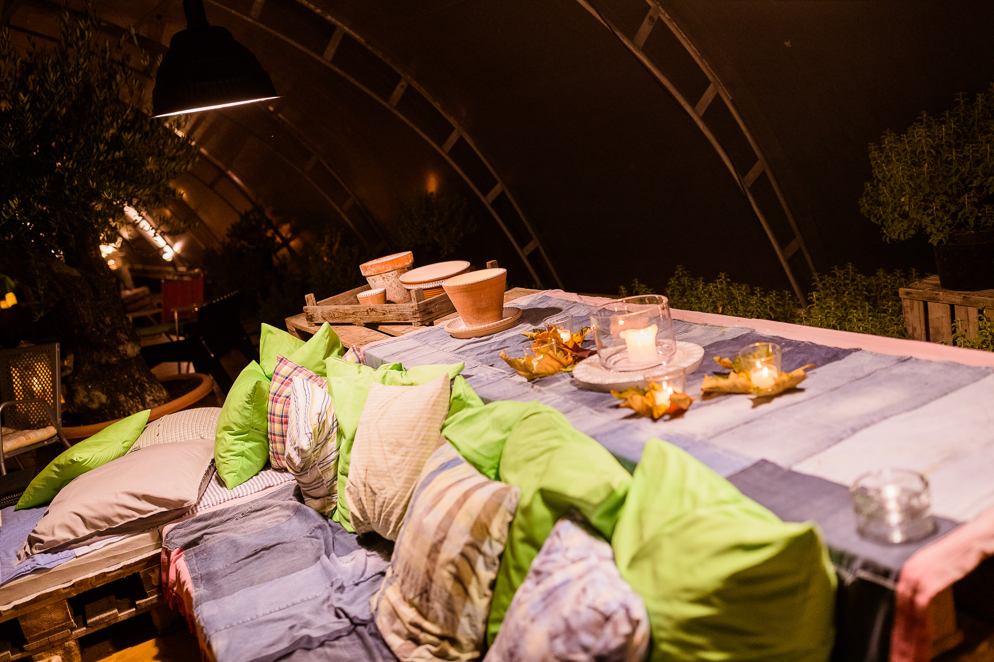 Export x3 1DX24901 CR2