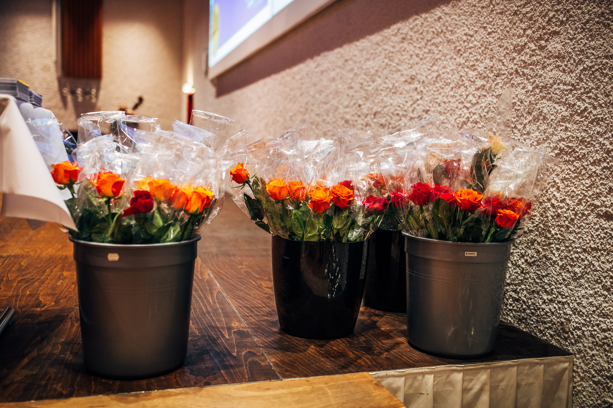 Export x3 1DX24240 Reportage