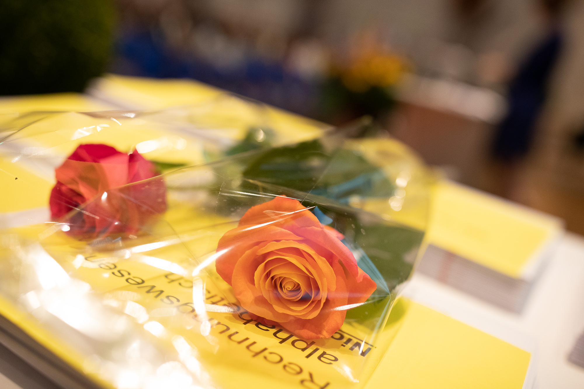 Export x3 1DX24518 Reportage