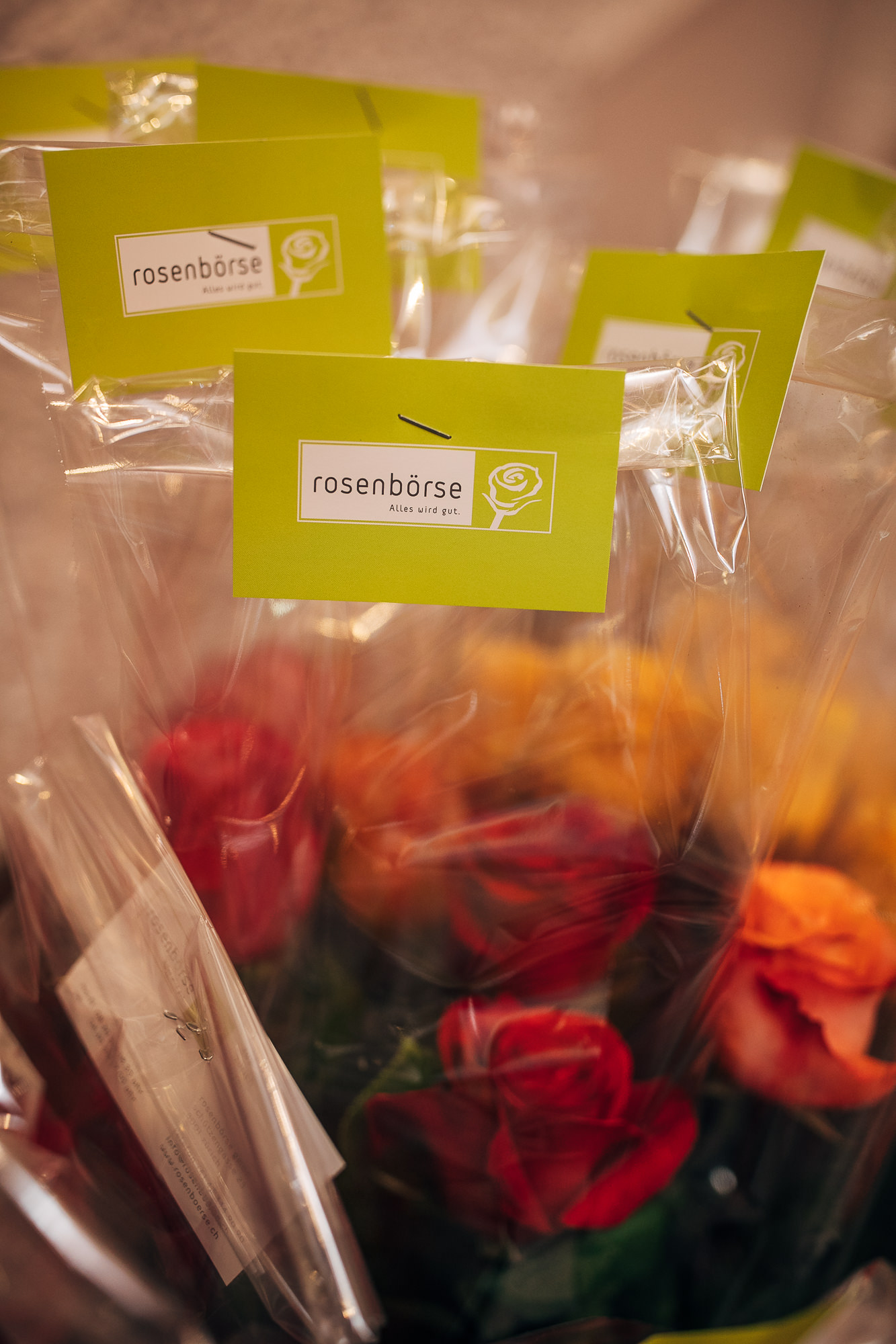 Export x3 1DX25185 fotos