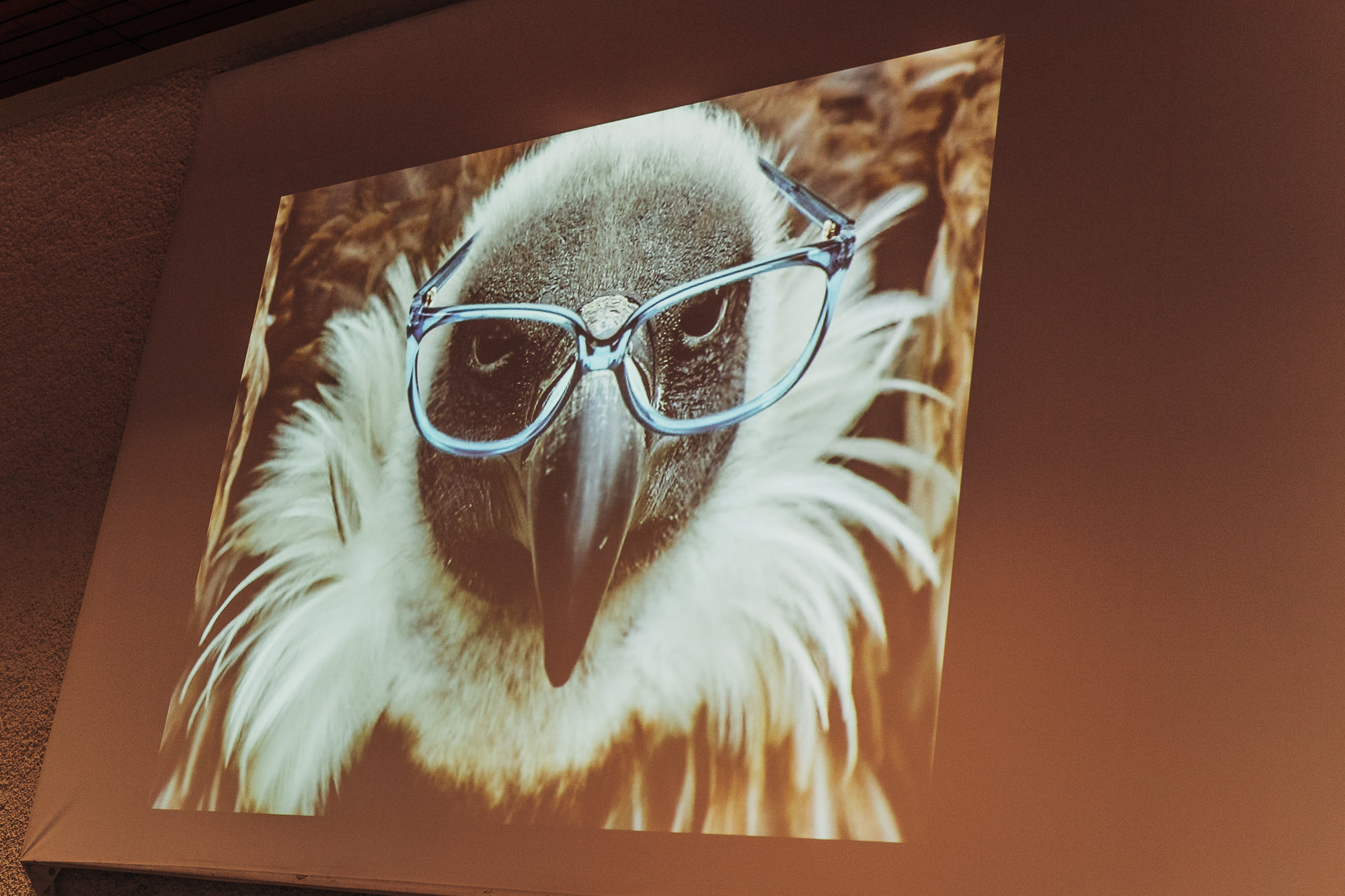 Export x3 1DX25358 fotos