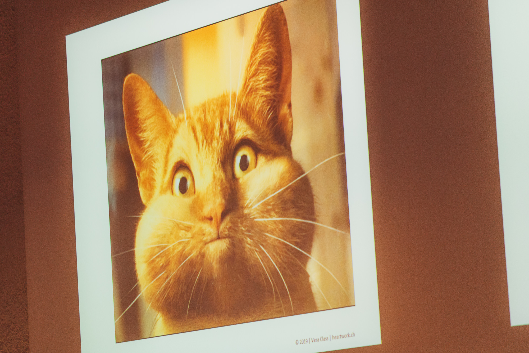 Export x3 5D4 2104 fotos