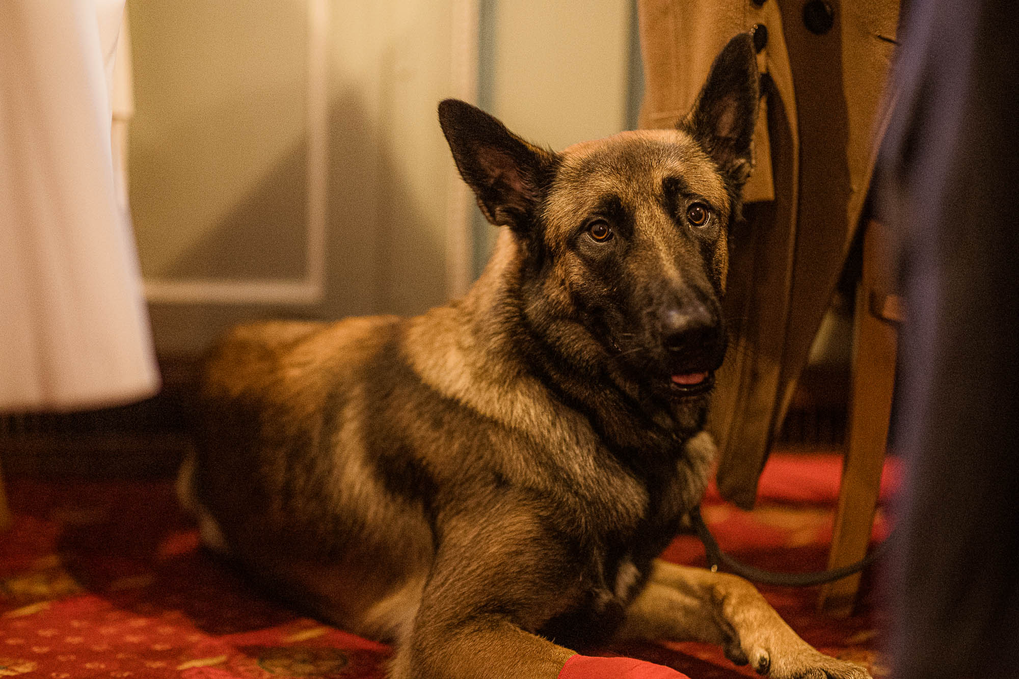 Export x3 R3  0490 Acceped