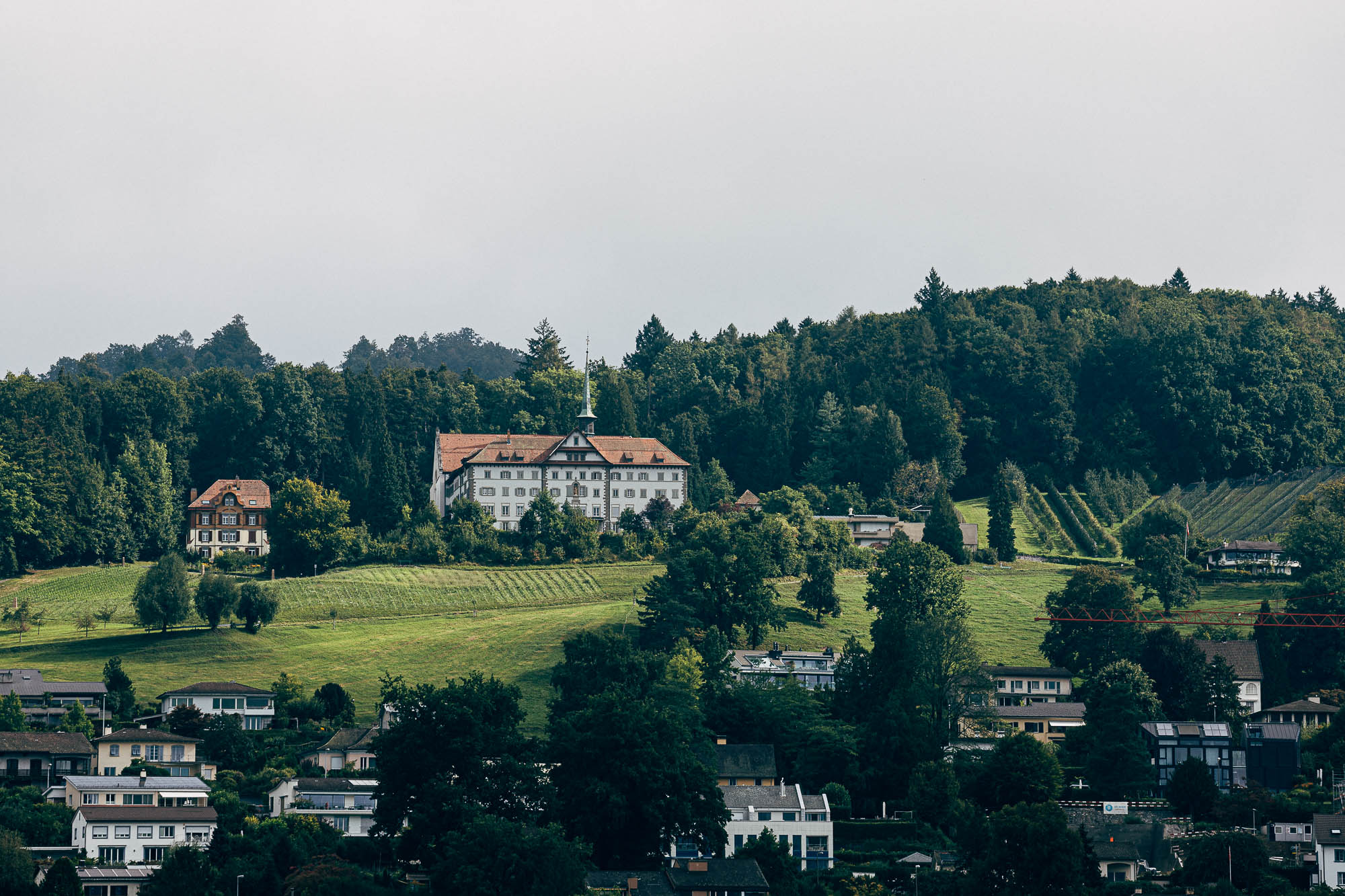 Export x3 R3  2694 Acceped