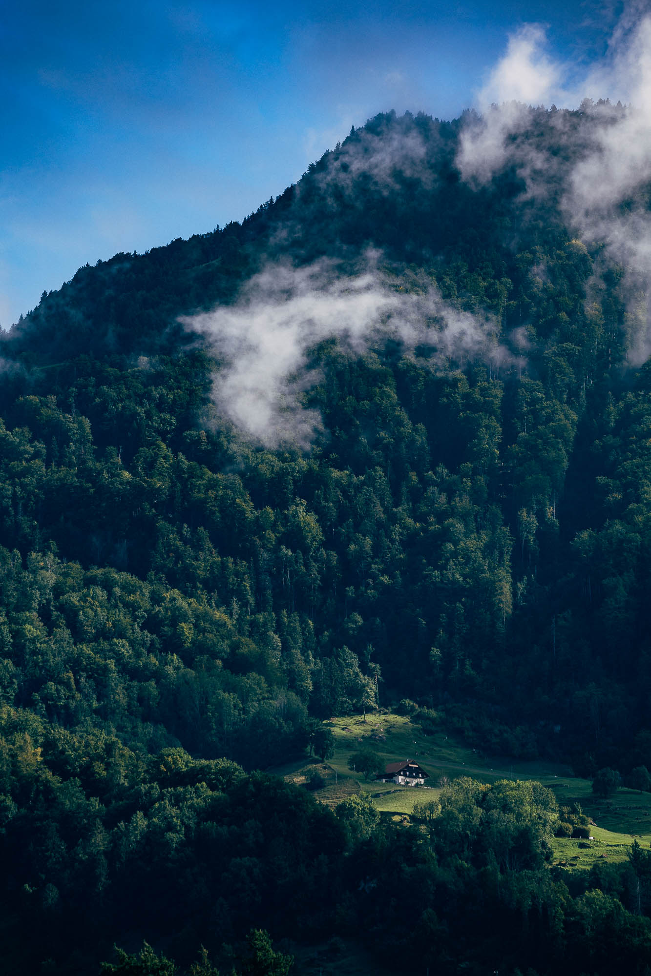 Export x3 R3  2744 Acceped