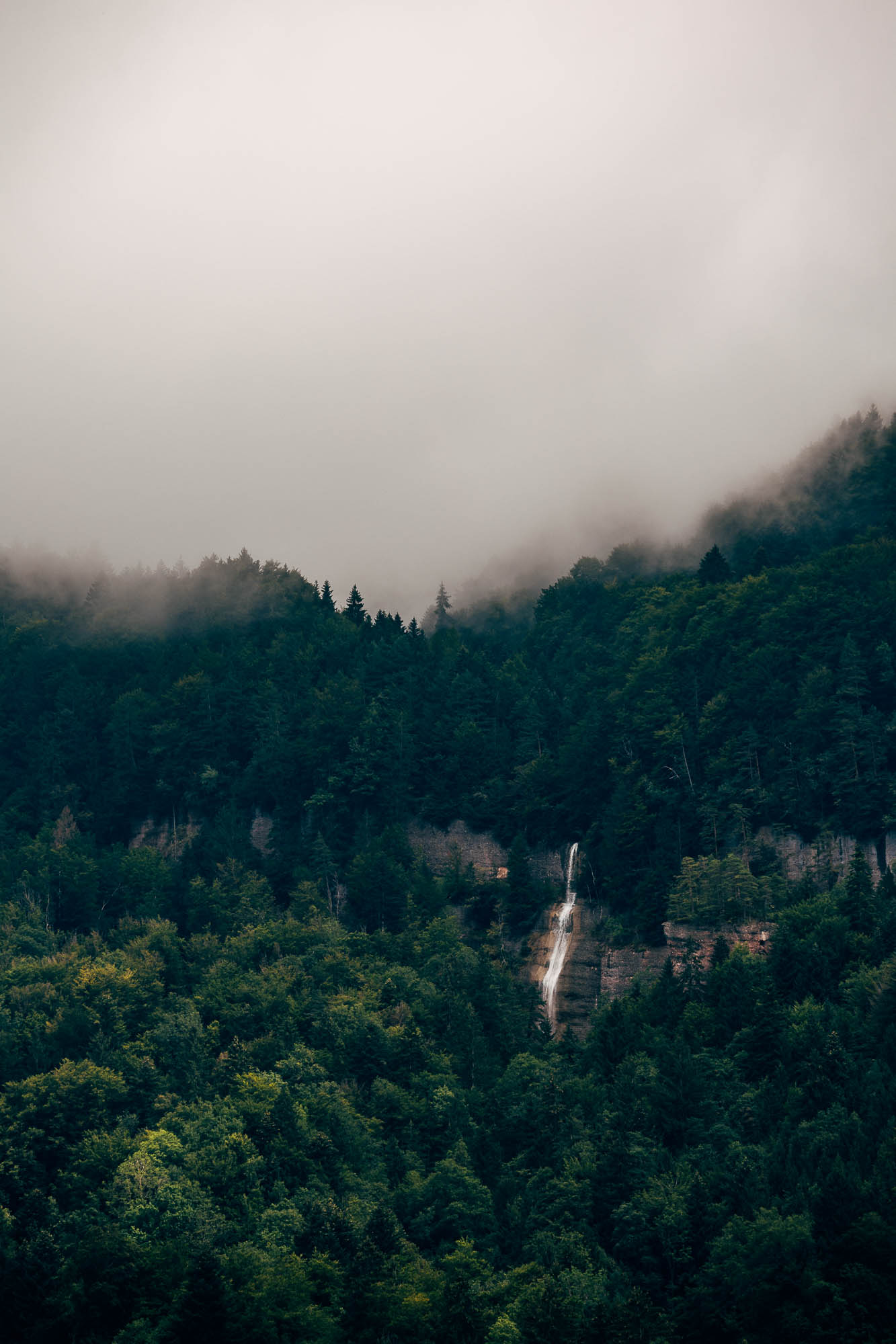 Export x3 R3  2766 Acceped