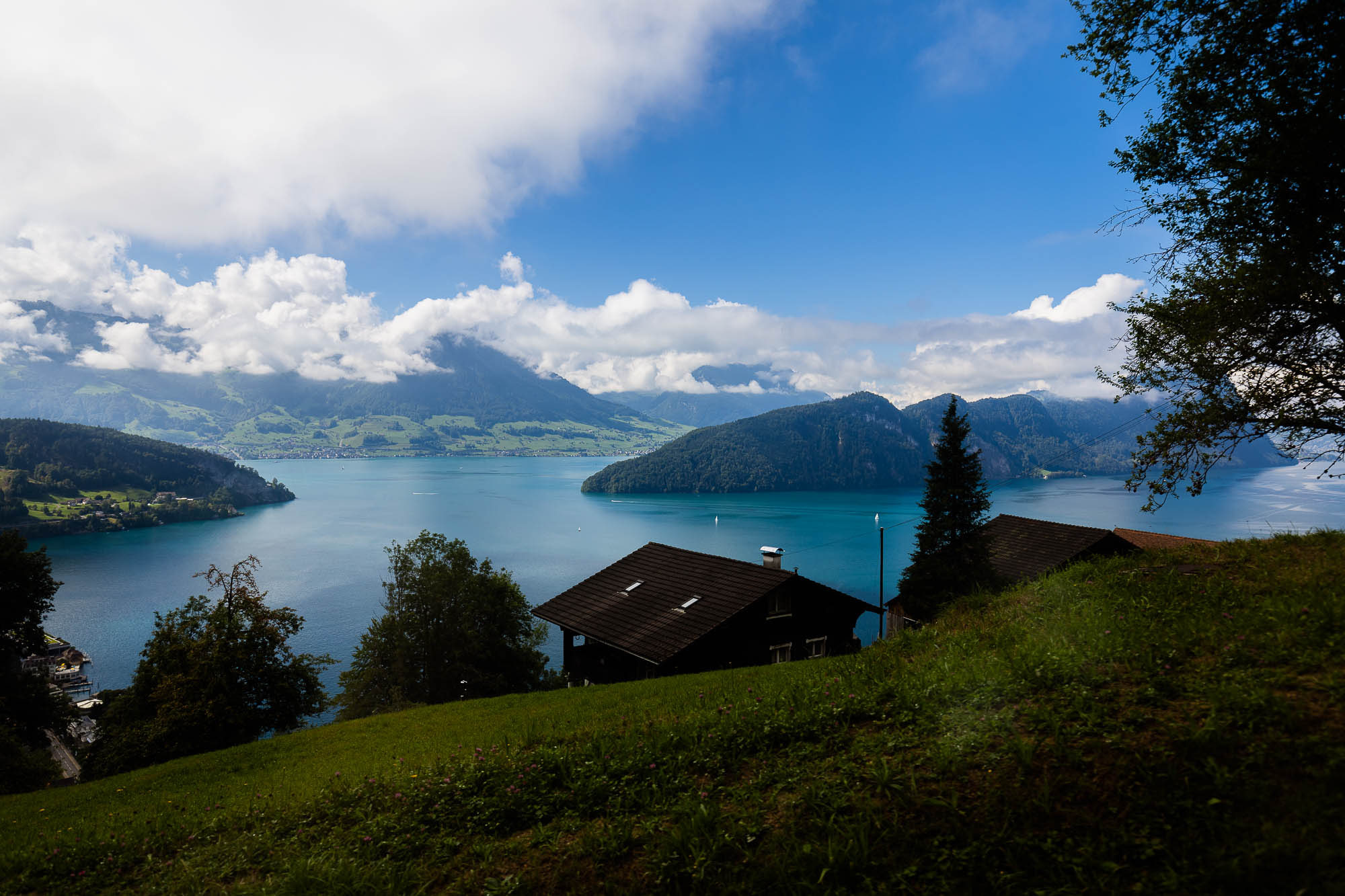 Export x3 R3  2823 Acceped