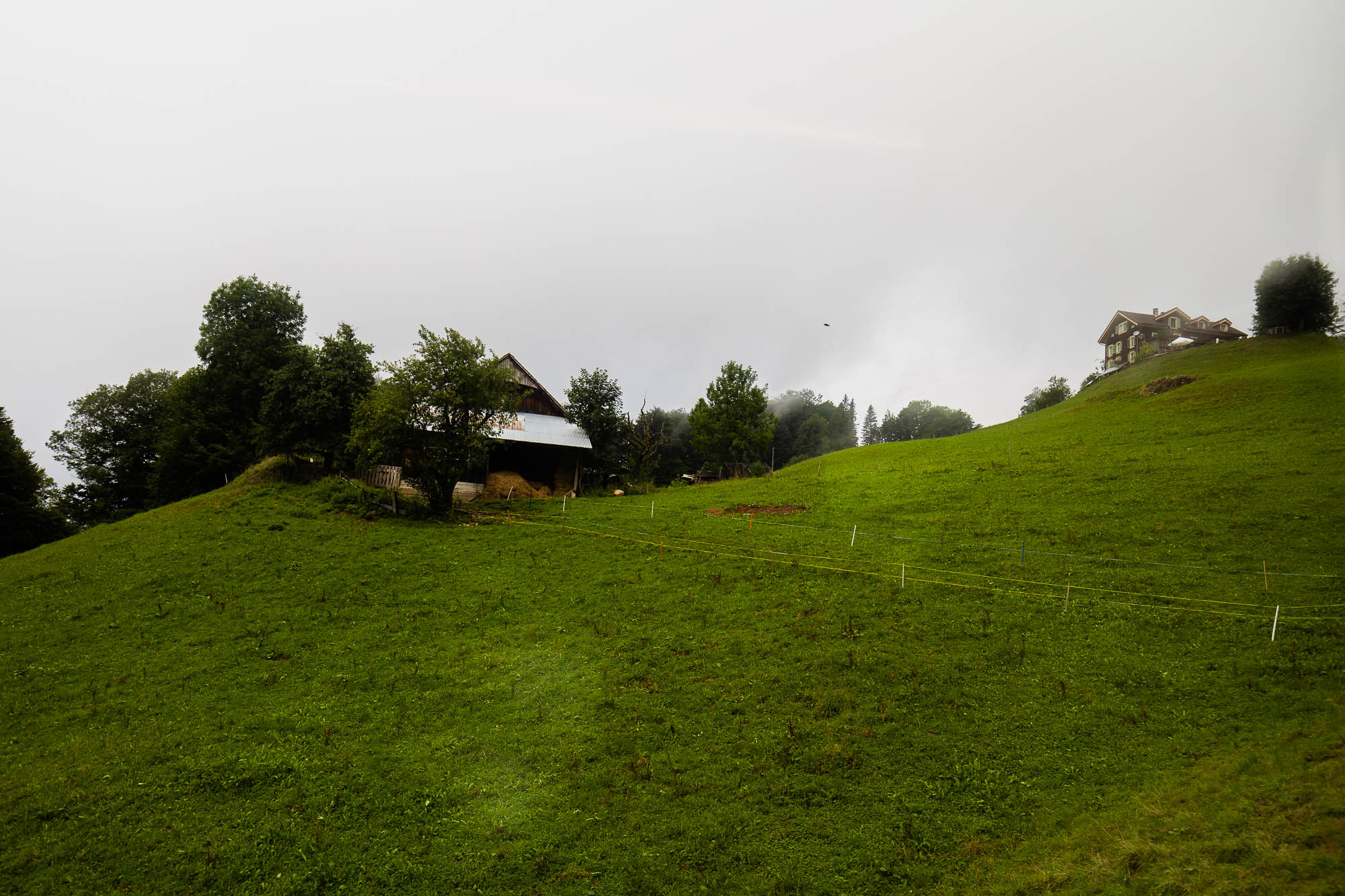 Export x3 R3  2825 Acceped