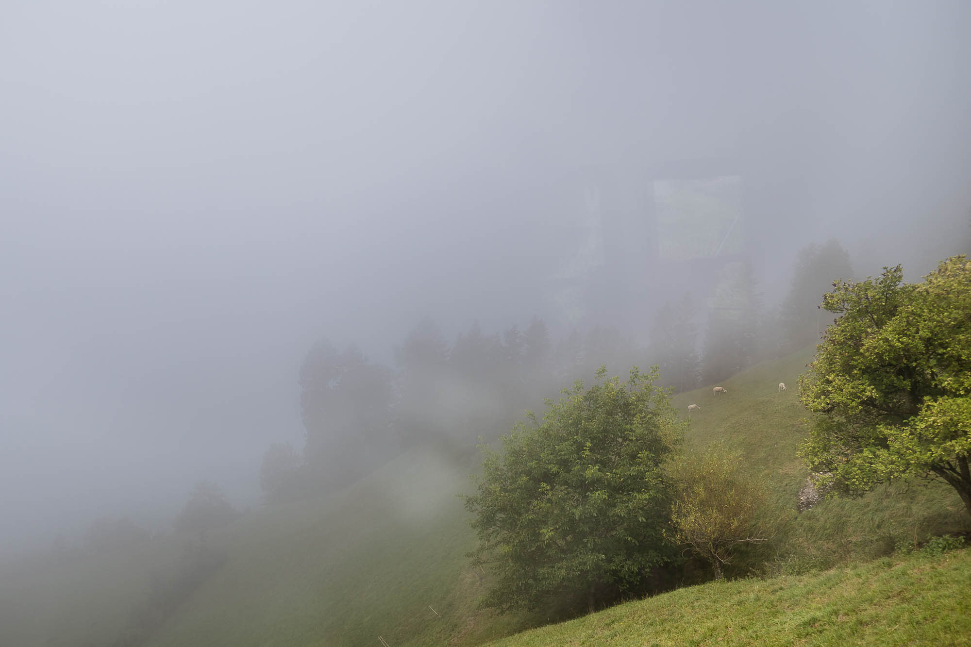 Export x3 R3  2826 Acceped