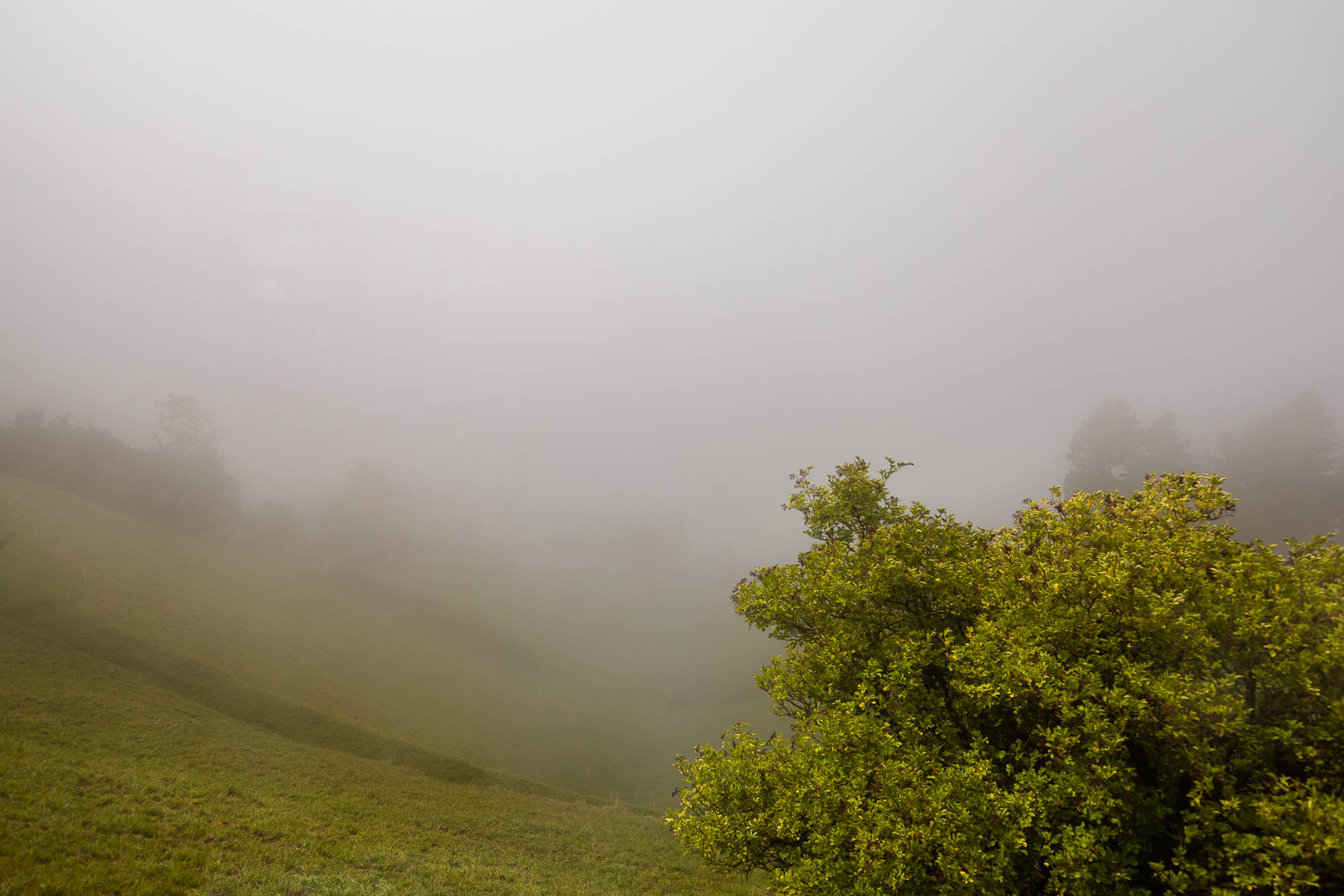 Export x3 R3  2827 Acceped