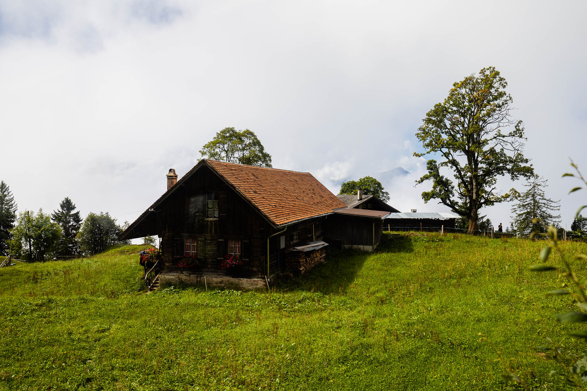 Export x3 R3  2836 Acceped