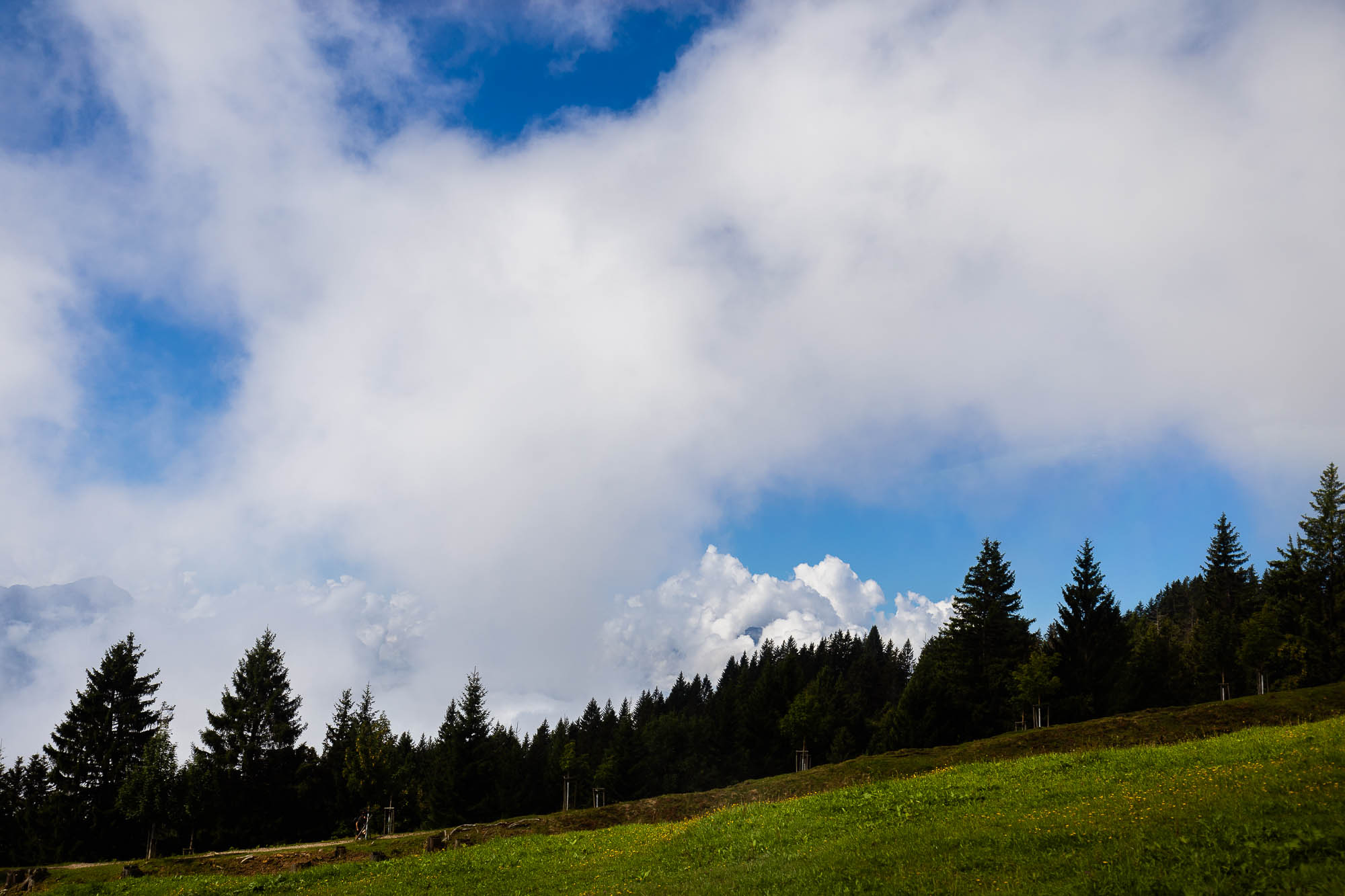 Export x3 R3  2839 Acceped