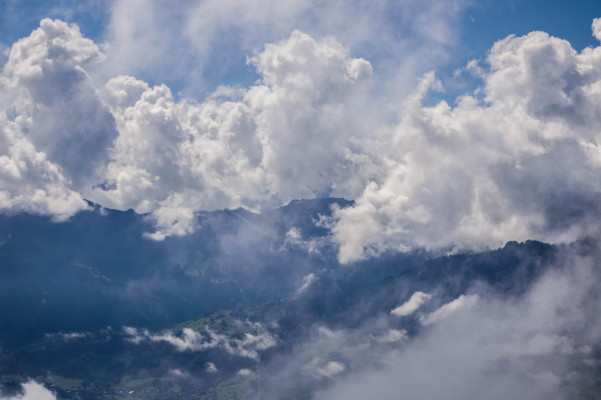 Export x3 R3  2849 Acceped