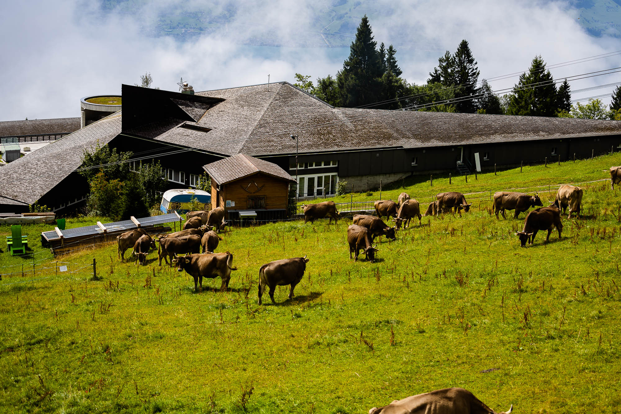 Export x3 R3  2856 Acceped