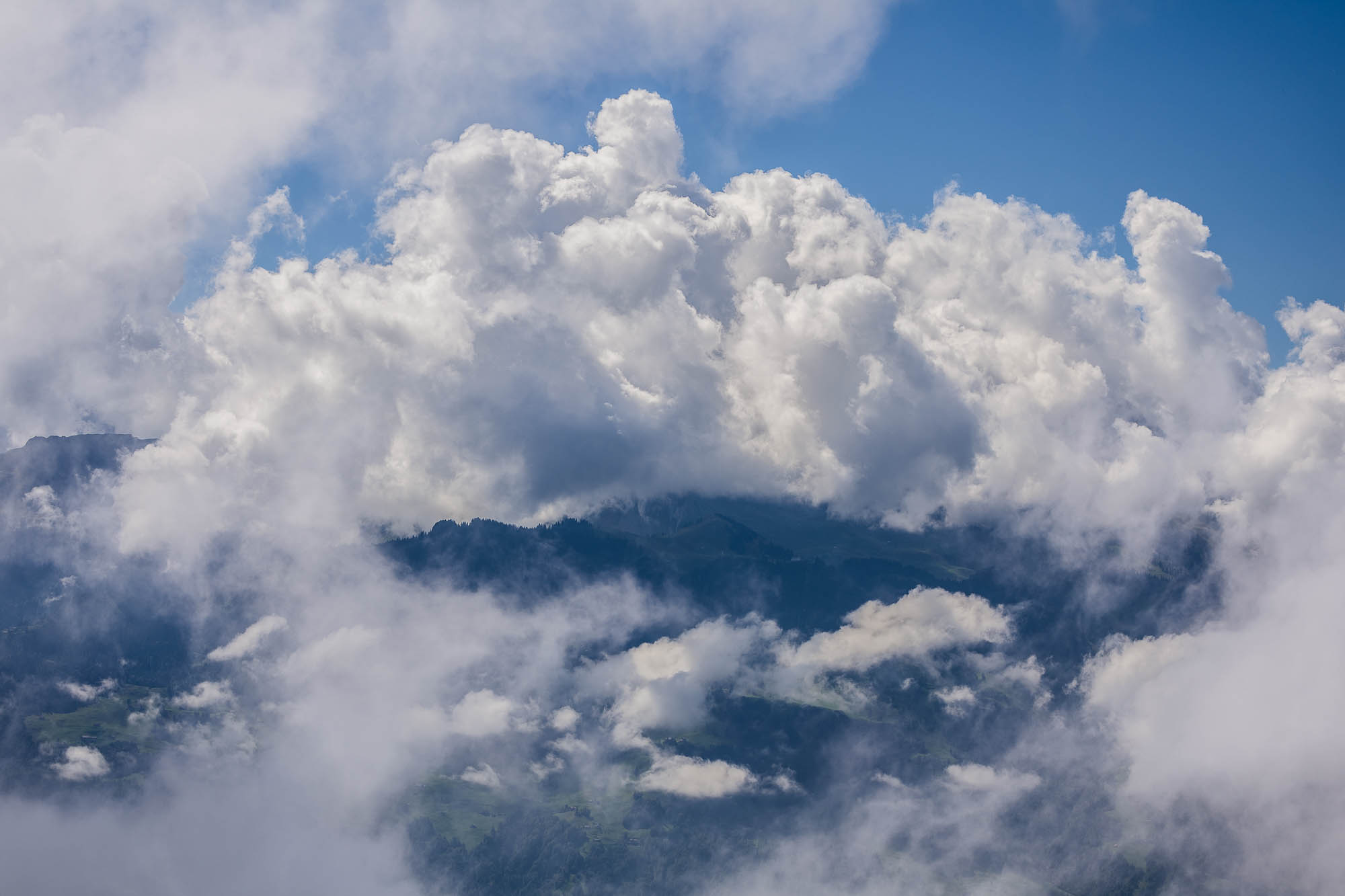 Export x3 R3  2857 Acceped