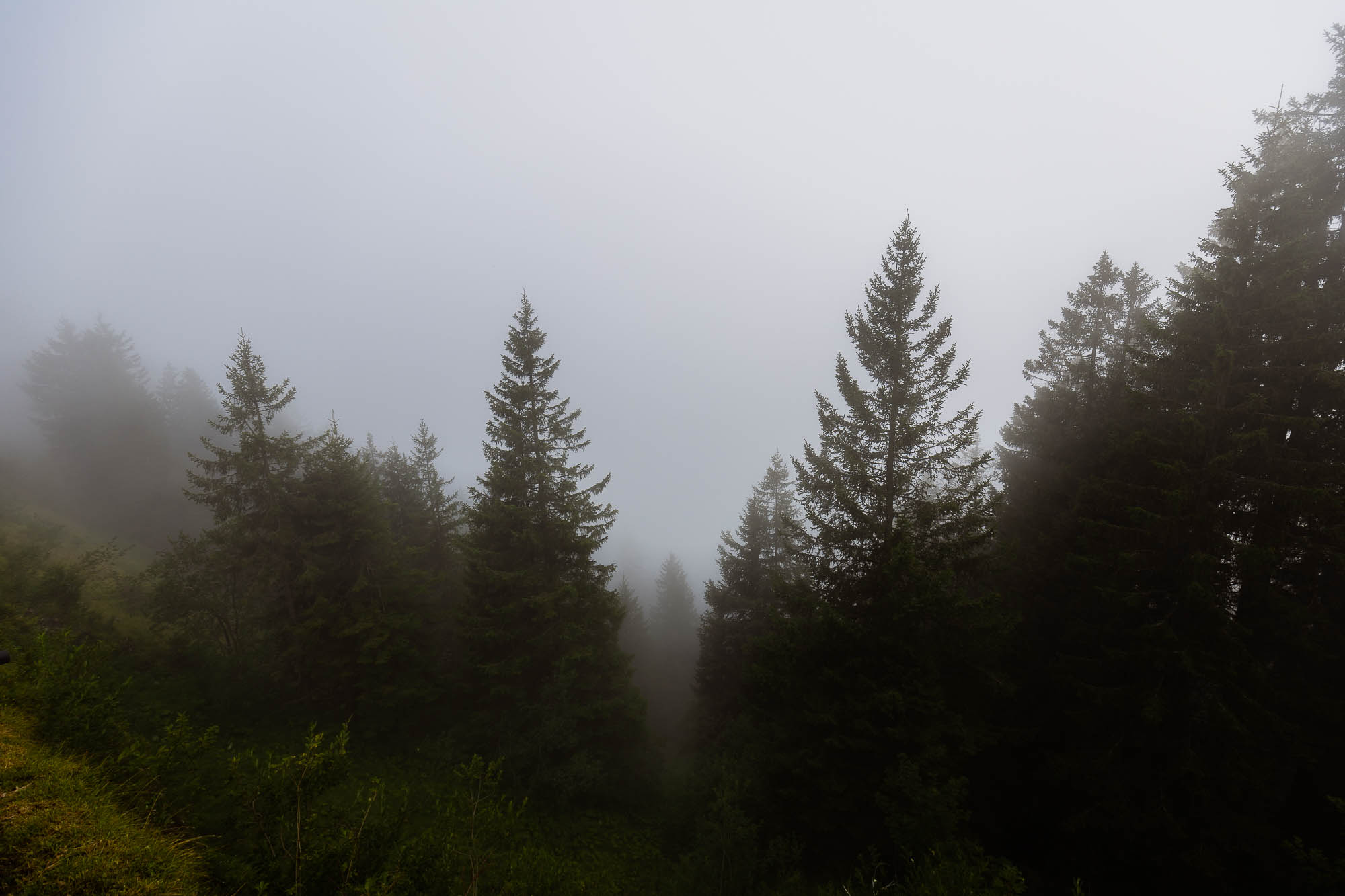 Export x3 R3  2873 Acceped