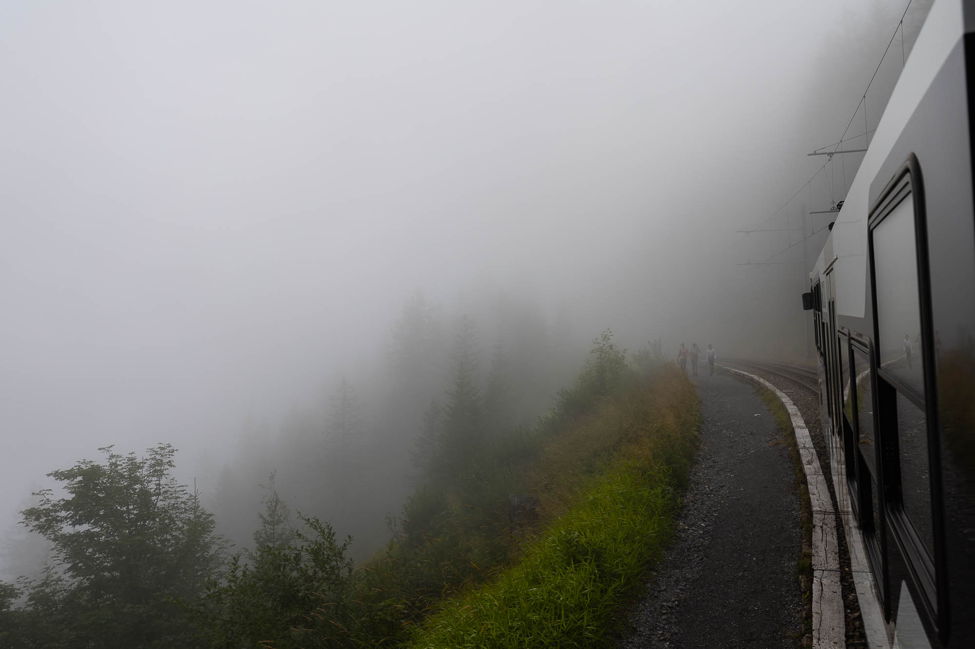 Export x3 R3  2874 Acceped