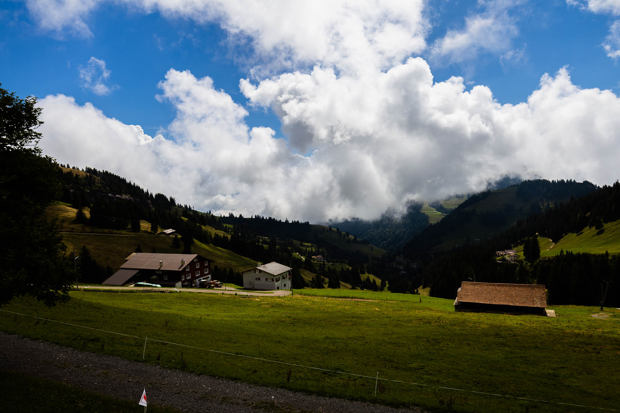 Export x3 R3  2878 Acceped