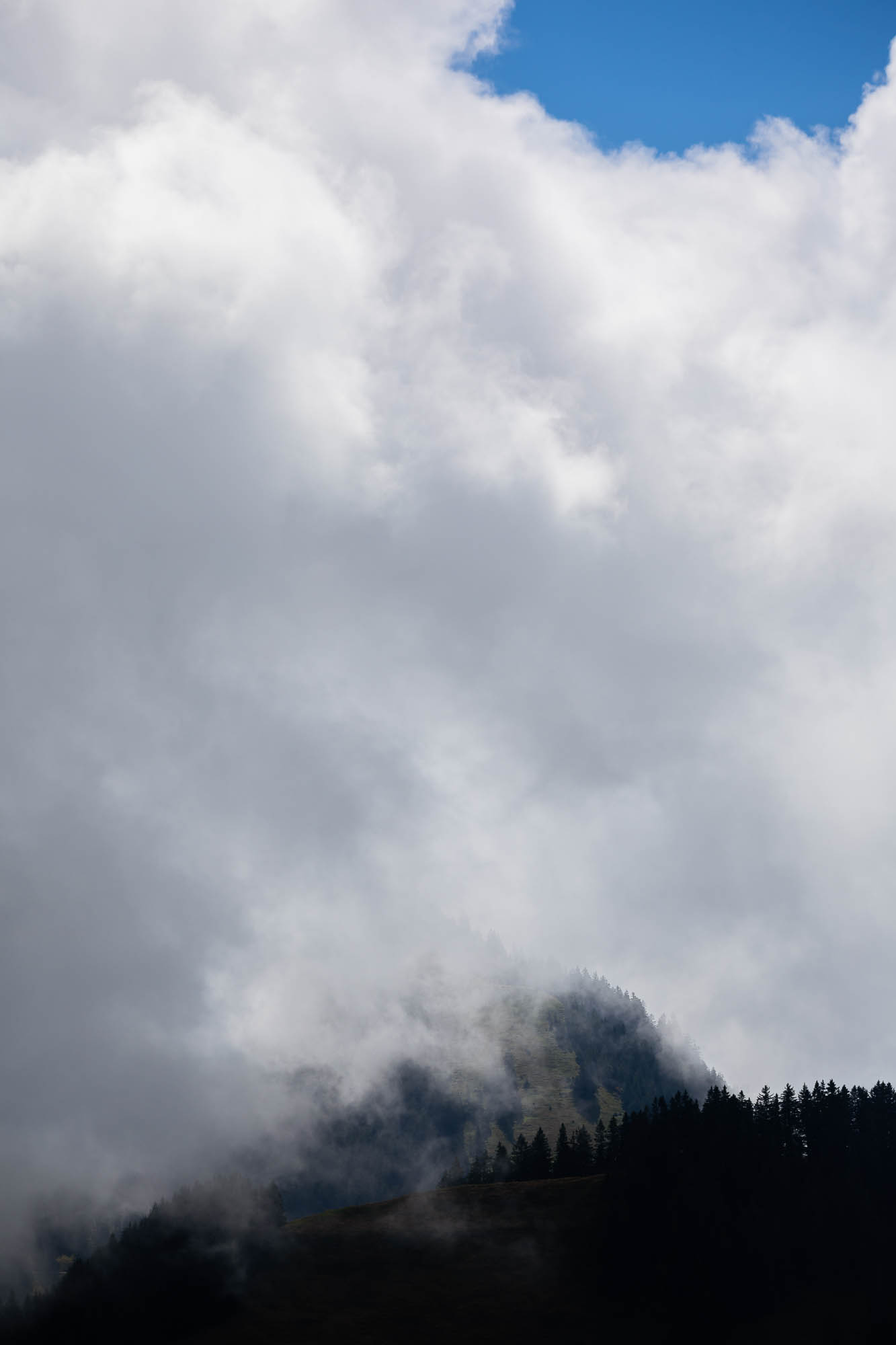 Export x3 R3  2880 Acceped