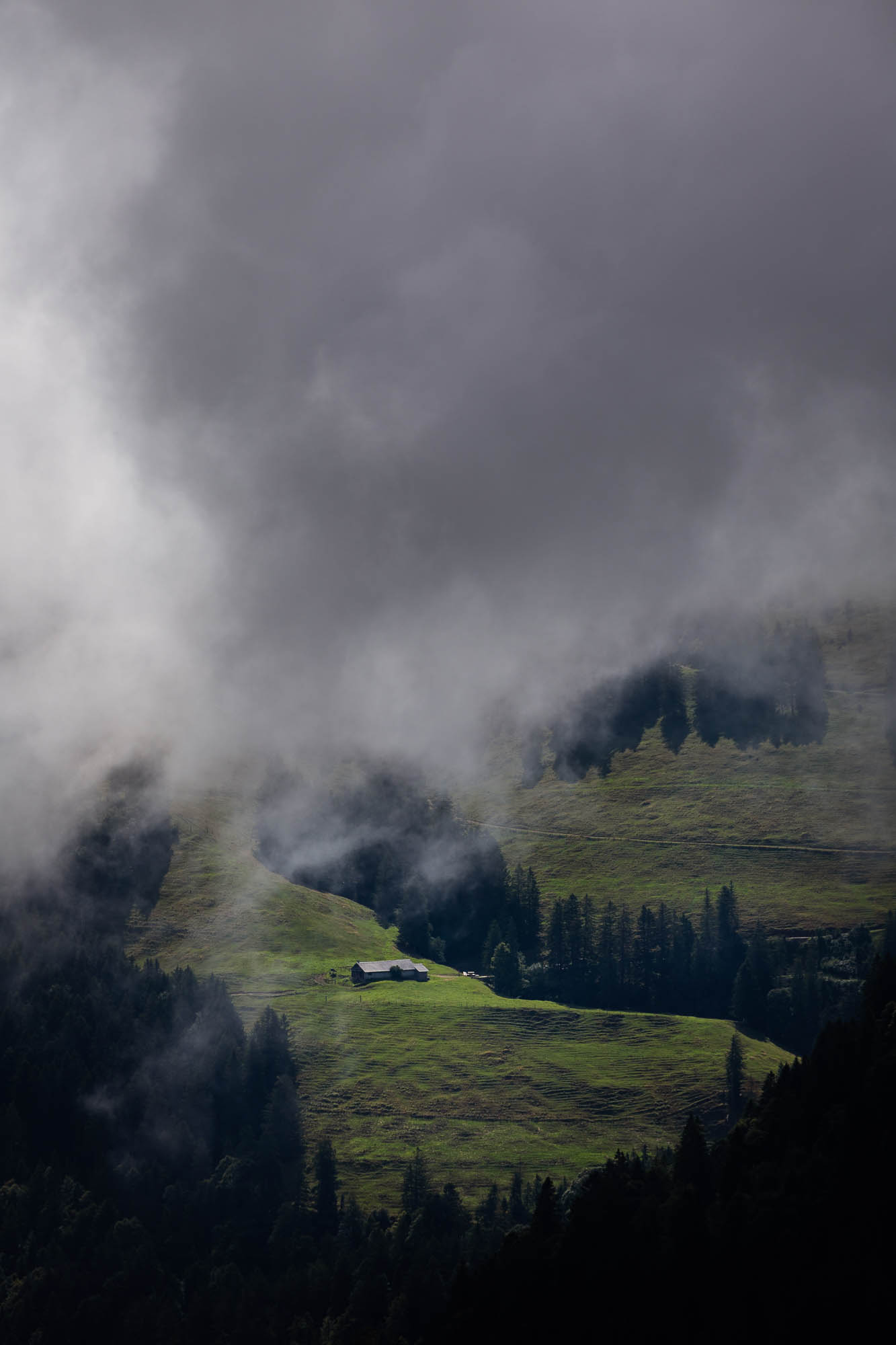 Export x3 R3  2881 Acceped