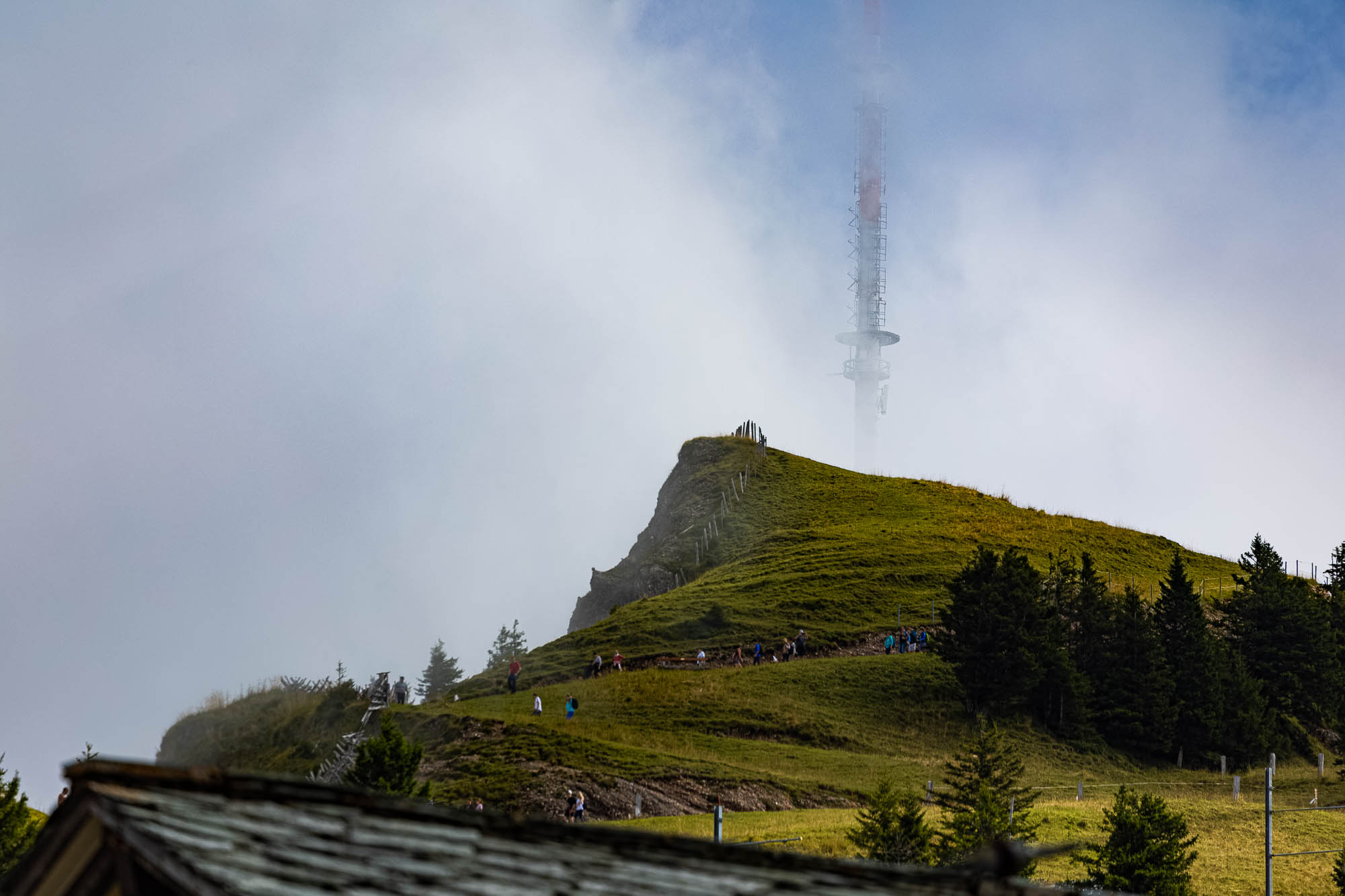 Export x3 R3  2883 Acceped