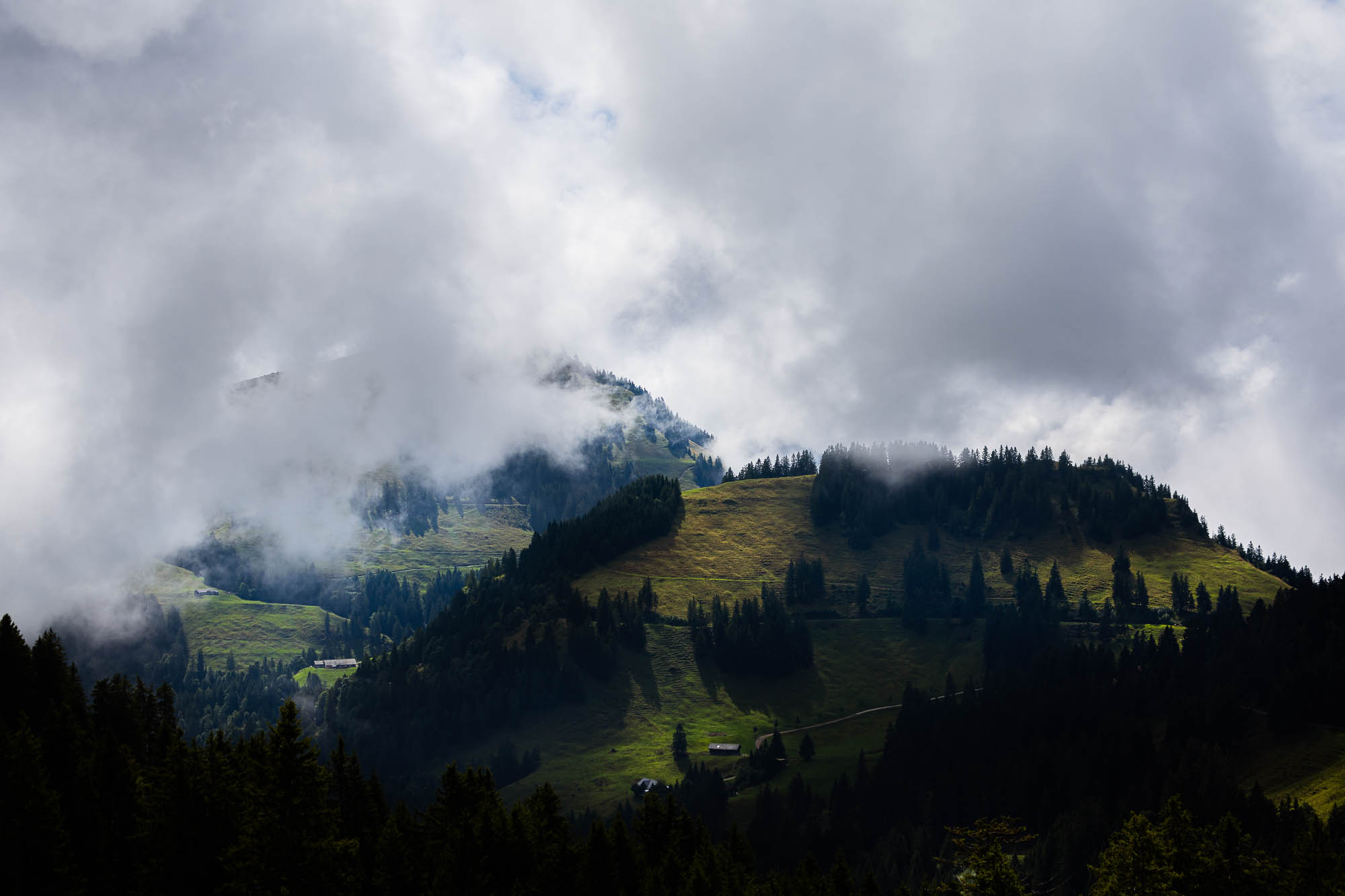 Export x3 R3  2888 Acceped