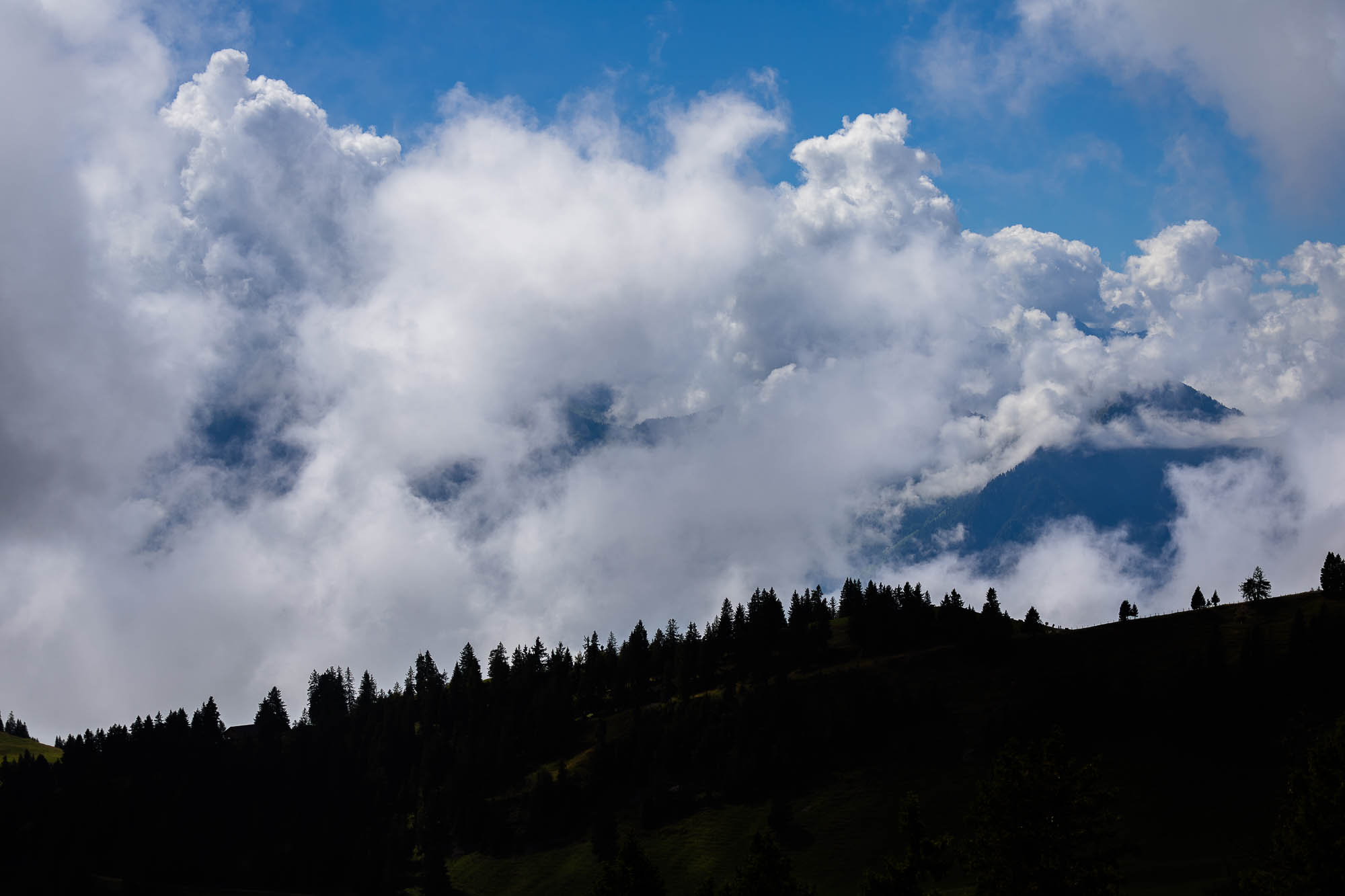 Export x3 R3  2891 Acceped