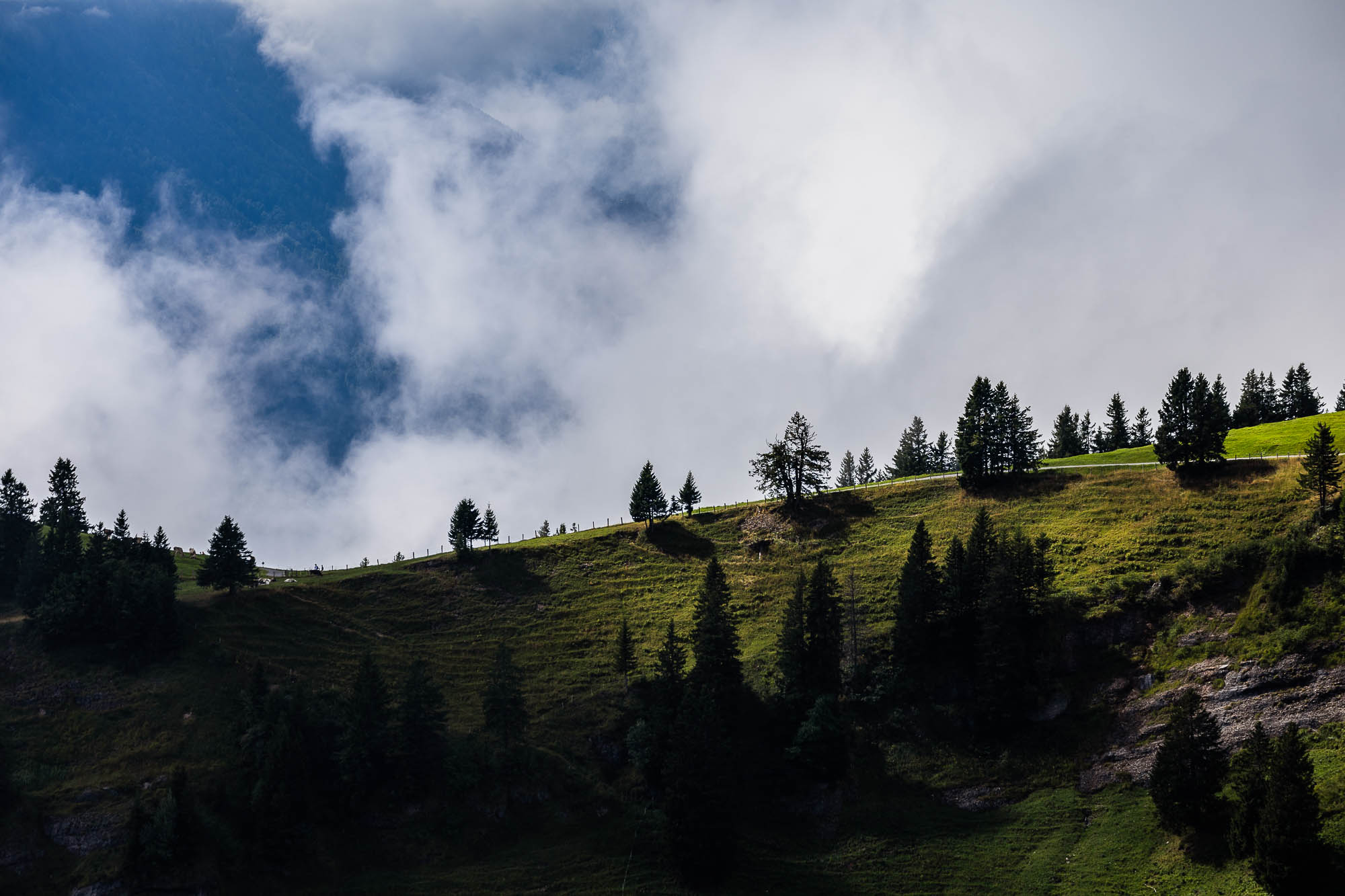 Export x3 R3  2894 Acceped