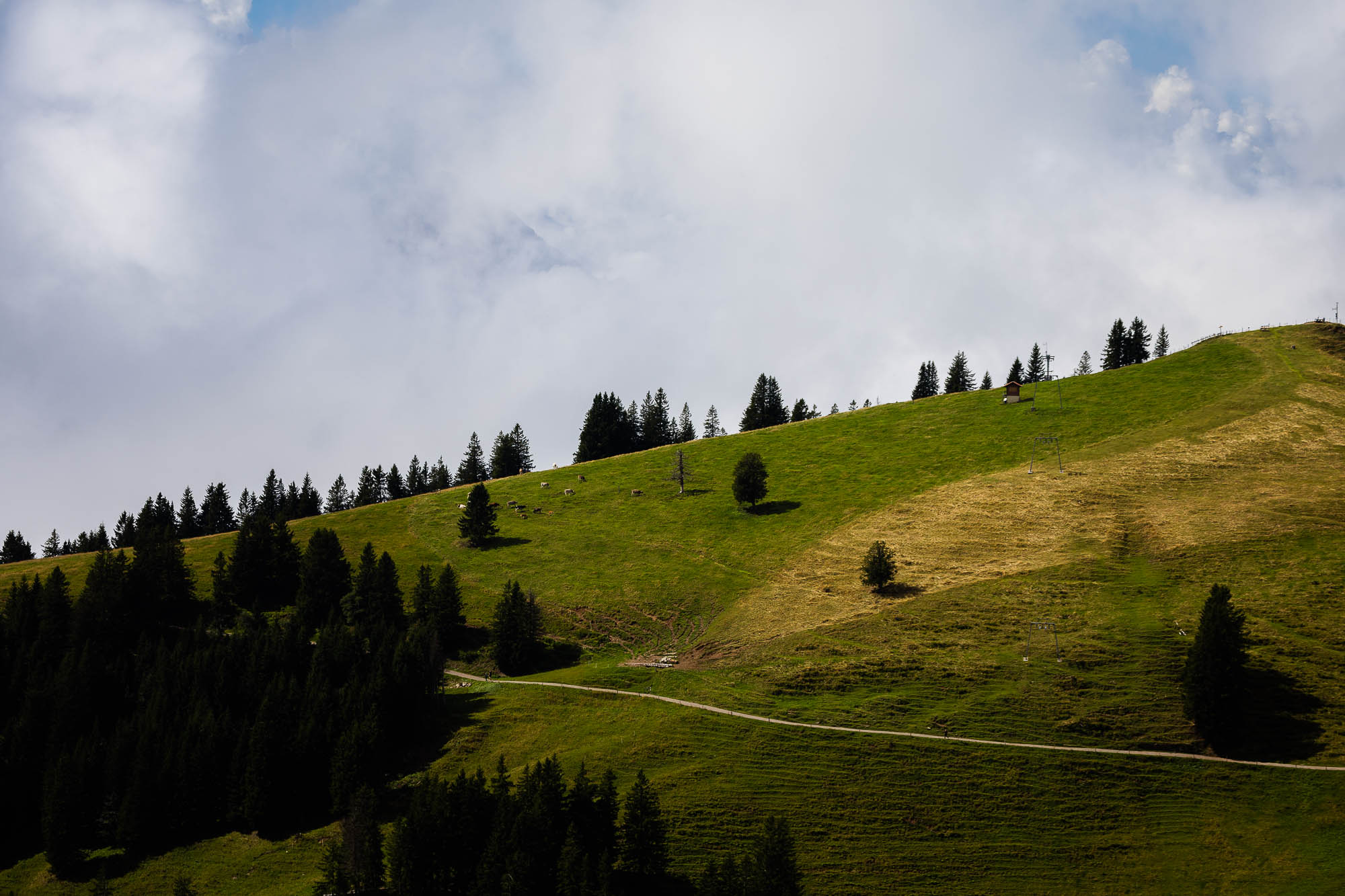 Export x3 R3  2895 Acceped