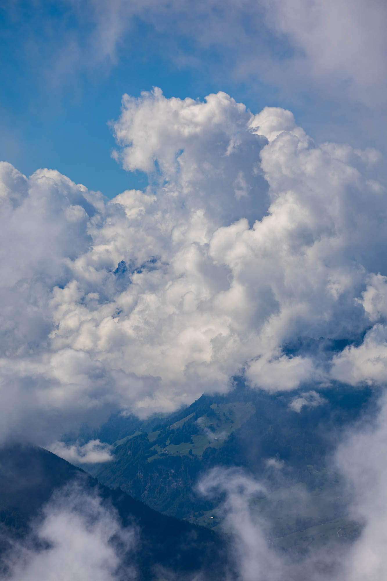 Export x3 R3  2899 Acceped