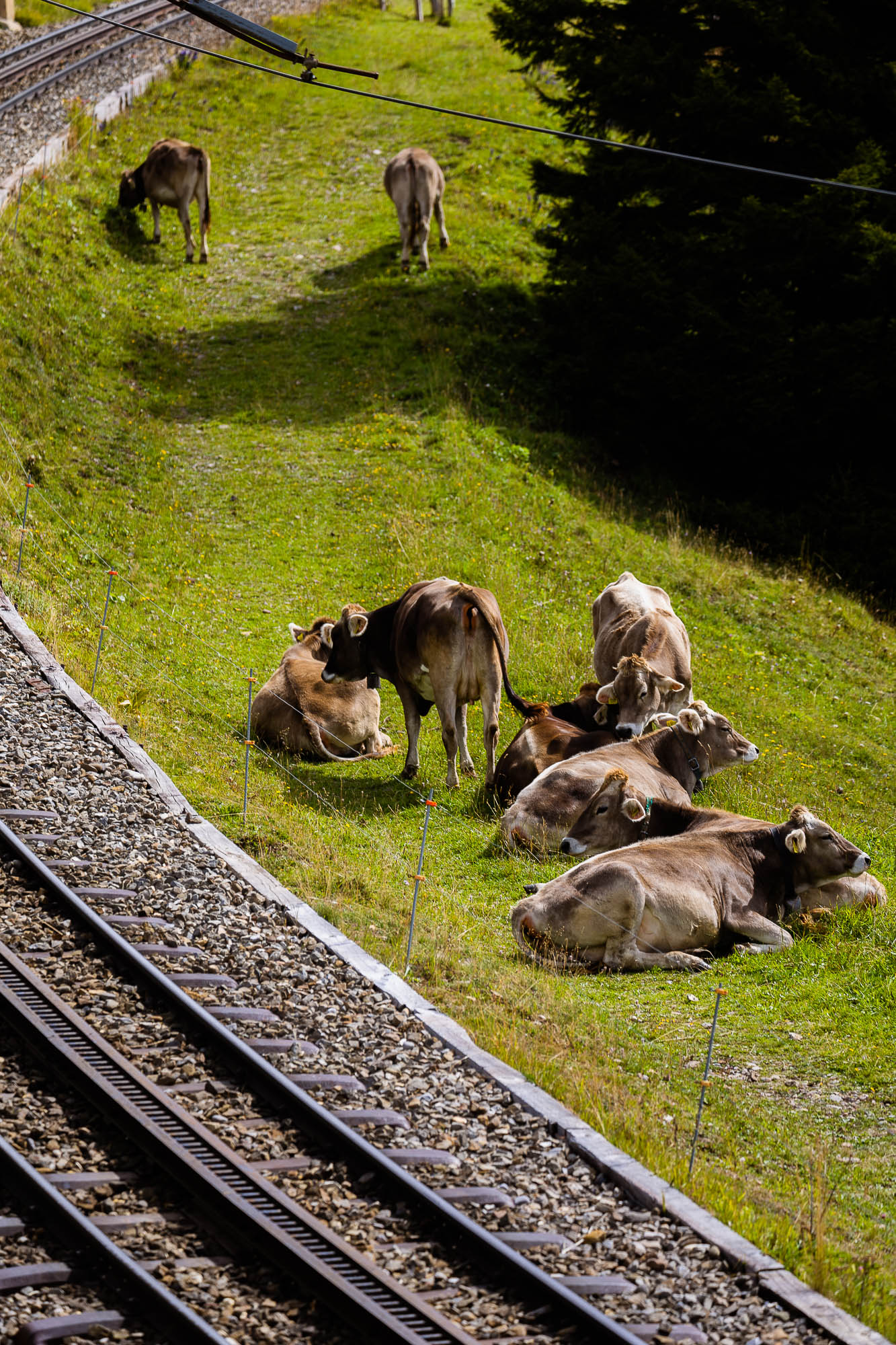 Export x3 R3  2901 Acceped