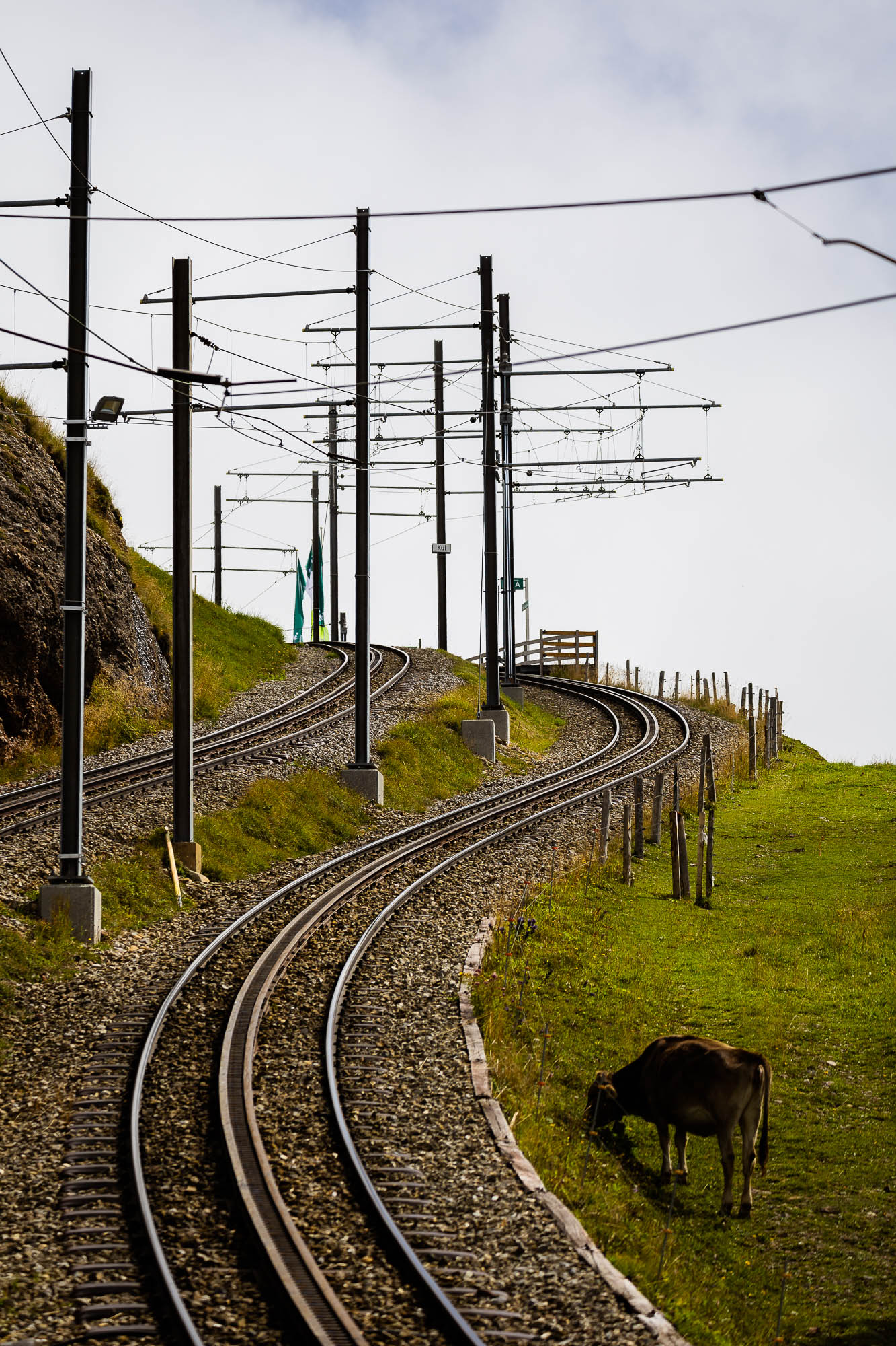 Export x3 R3  2903 Acceped