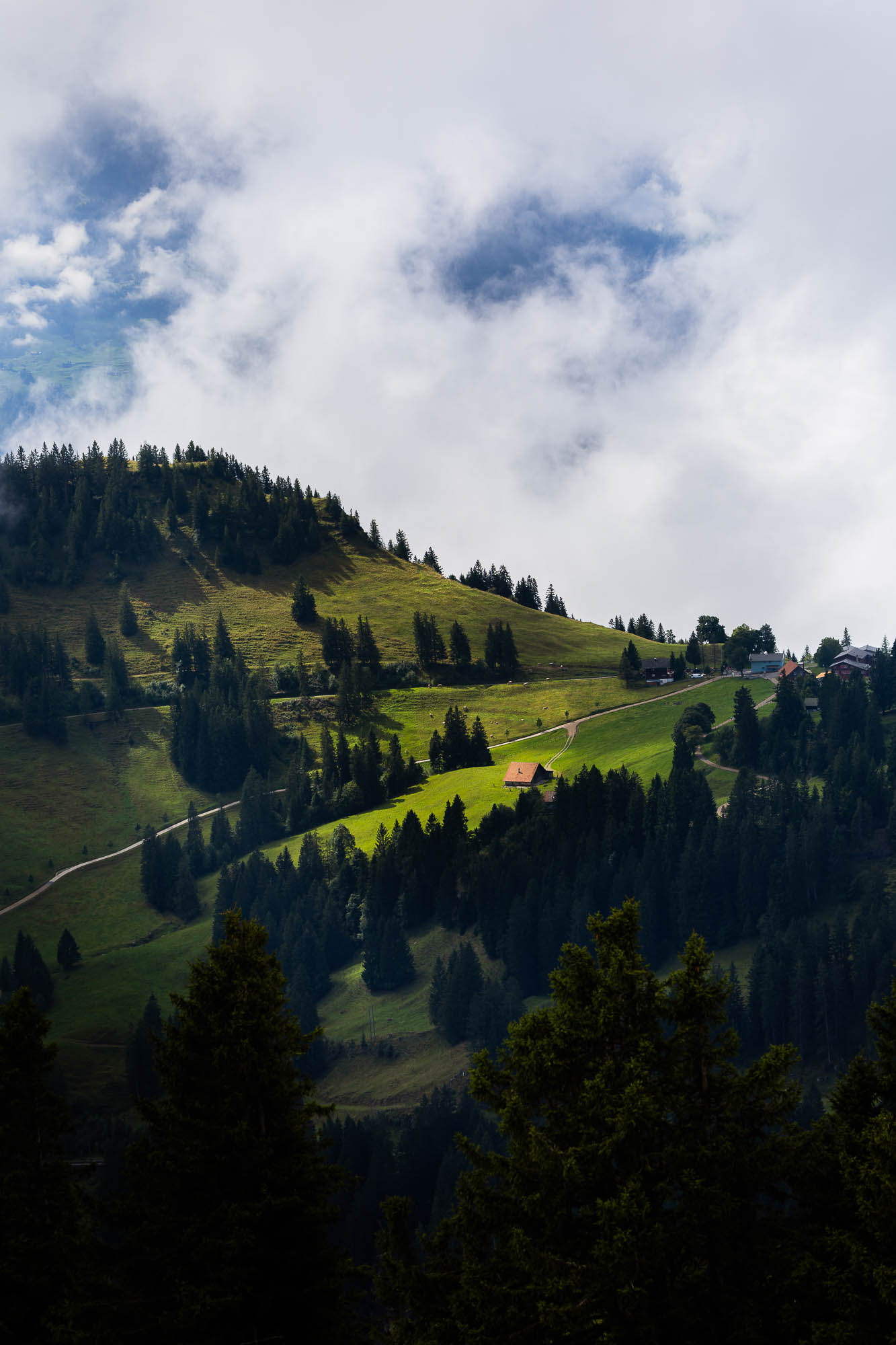 Export x3 R3  2906 Acceped