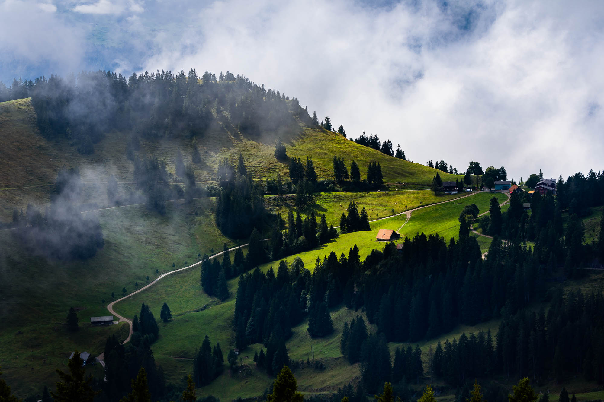 Export x3 R3  2907 Acceped