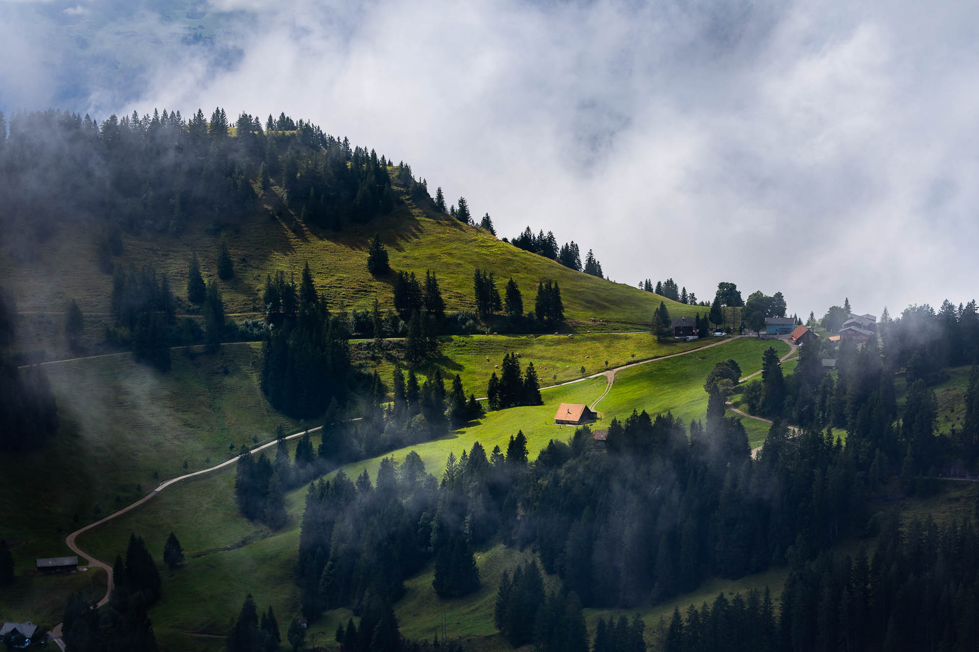 Export x3 R3  2909 Acceped