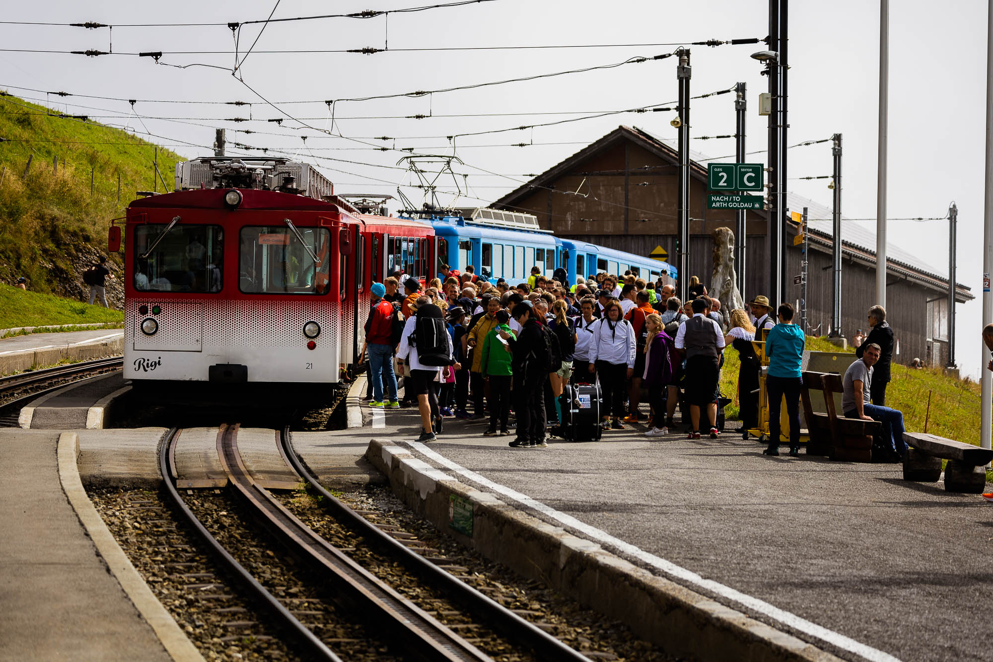 Export x3 R3  2913 Acceped