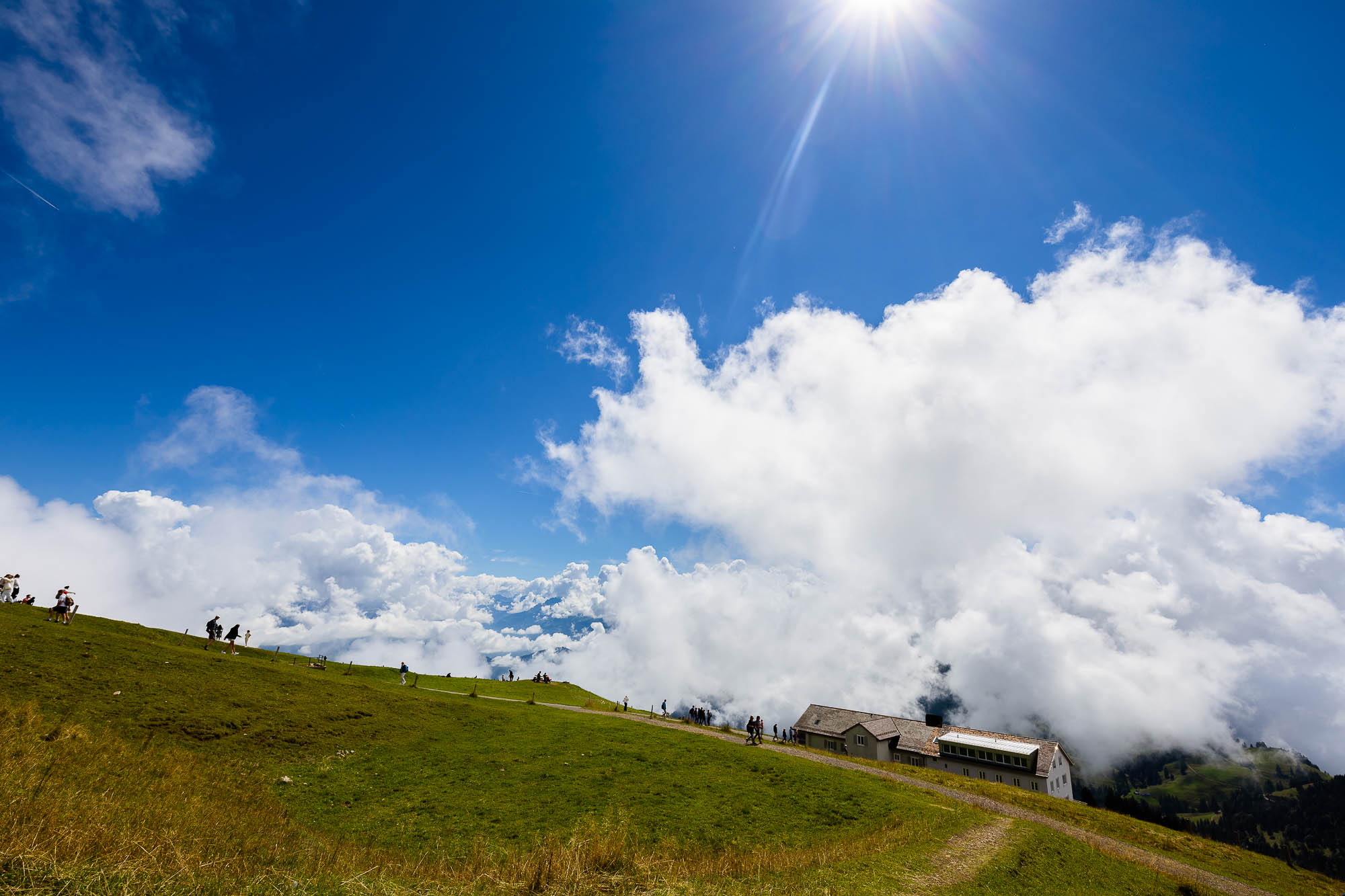 Export x3 R3  2932 Acceped