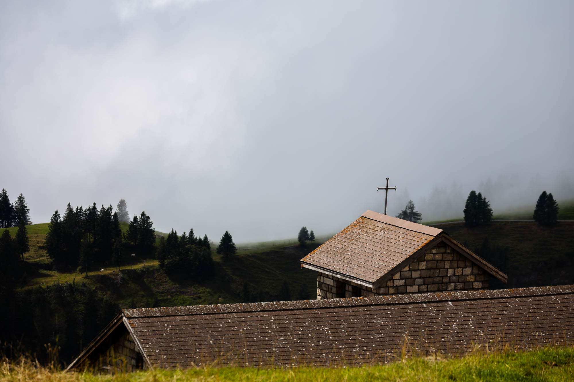 Export x3 R3  2935 Acceped