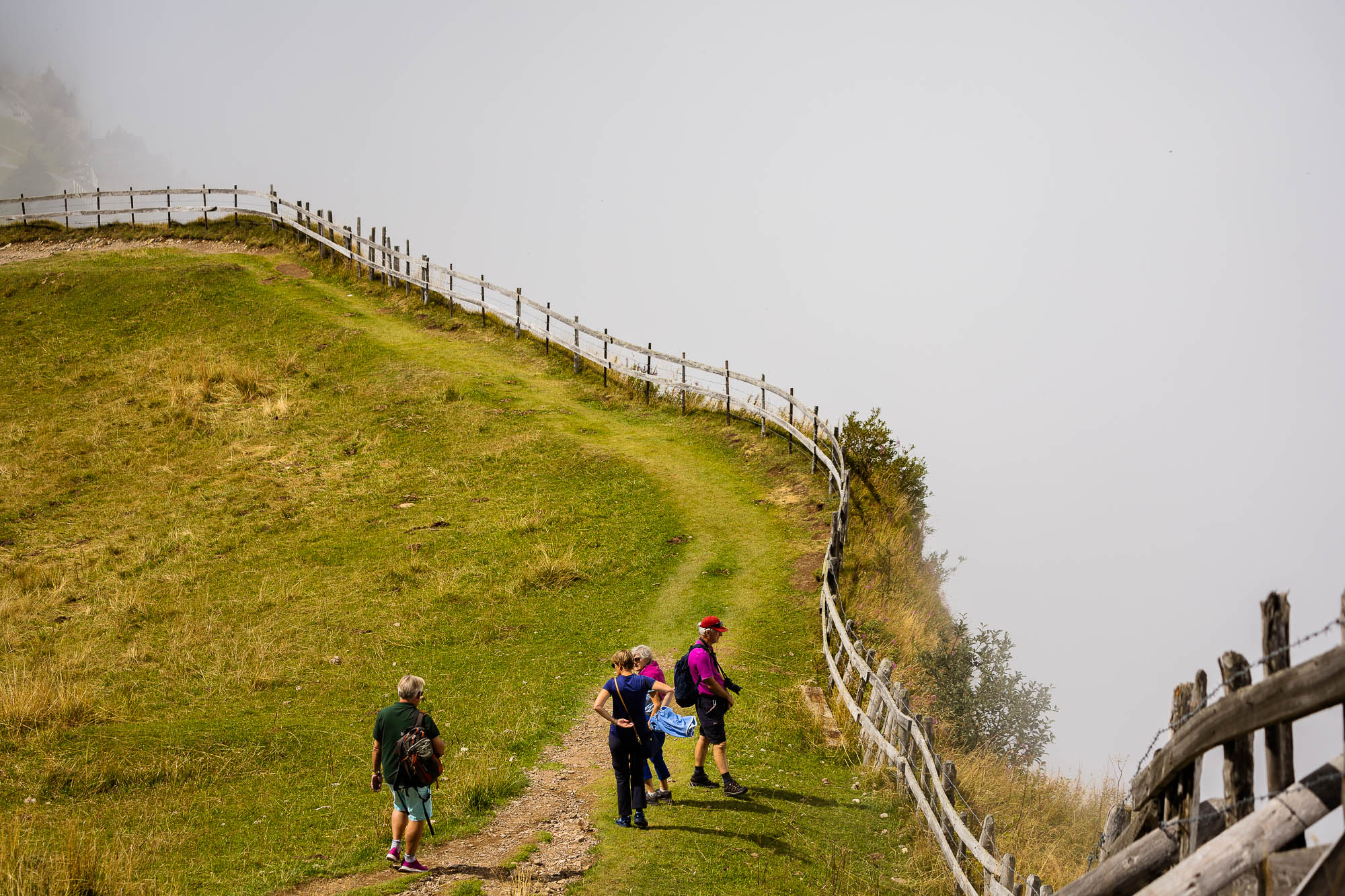 Export x3 R3  2937 Acceped