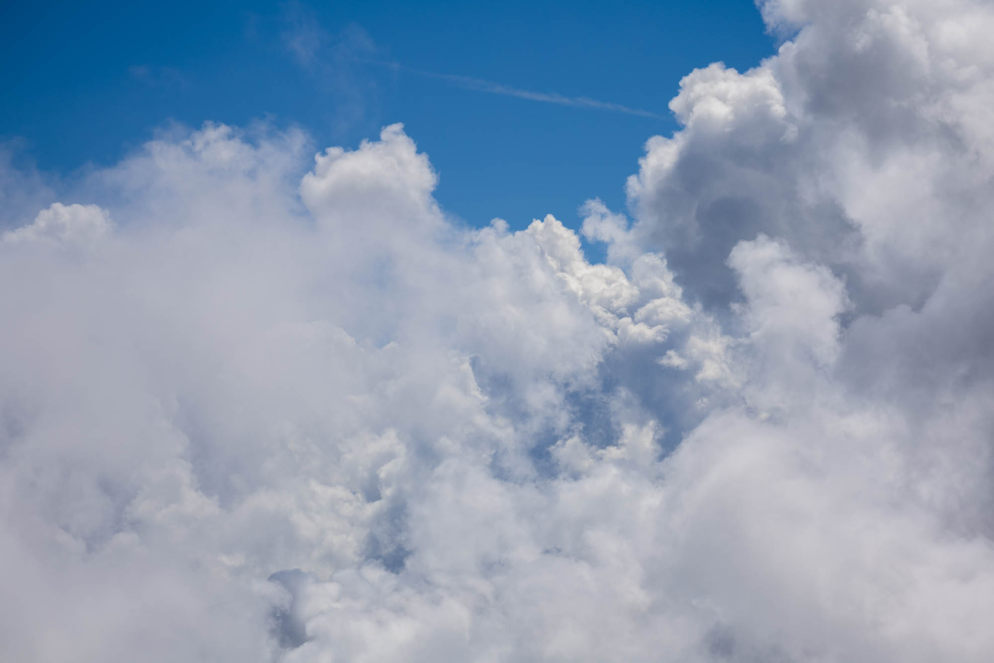 Export x3 R3  2938 Acceped