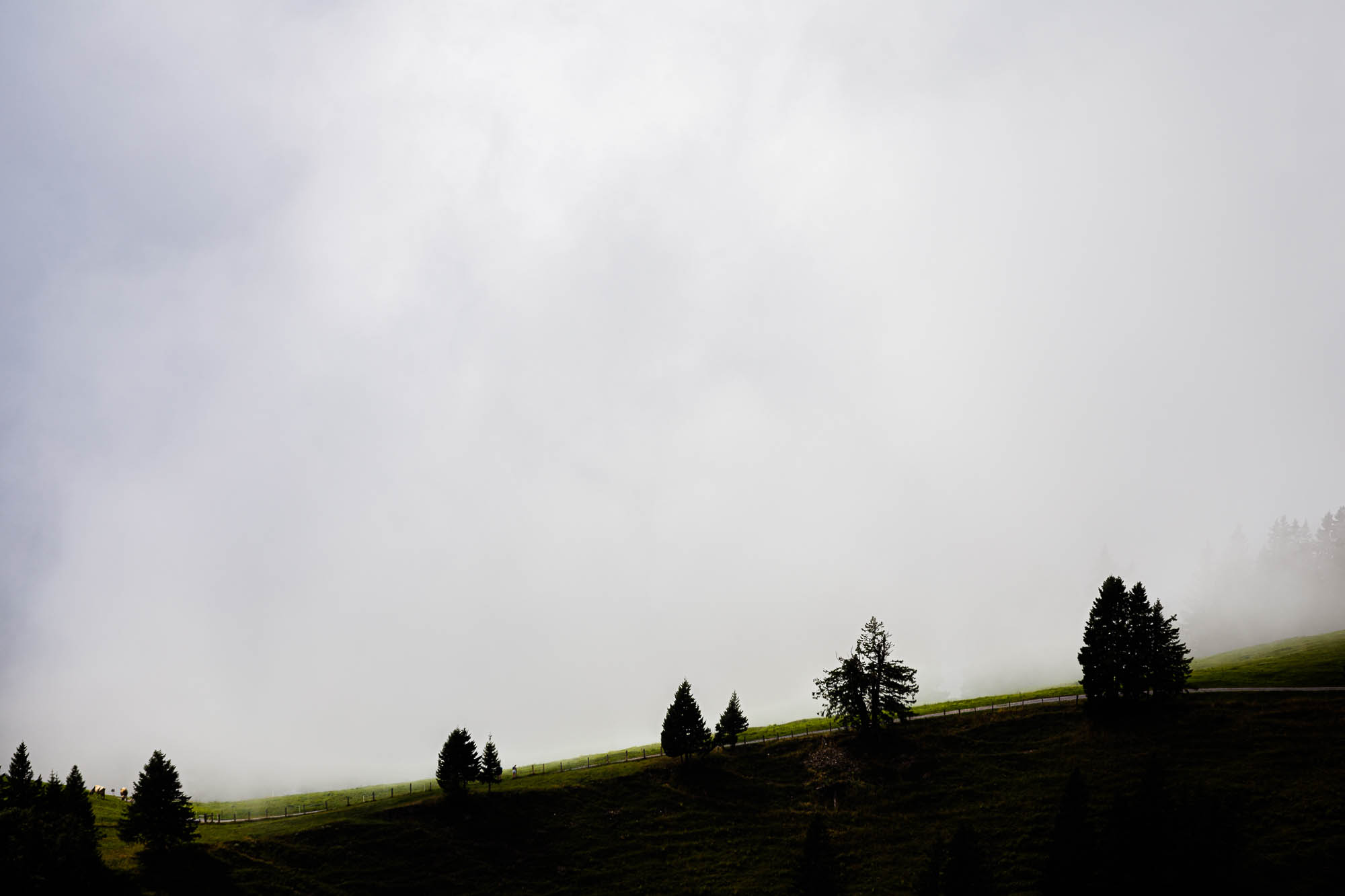 Export x3 R3  2941 Acceped