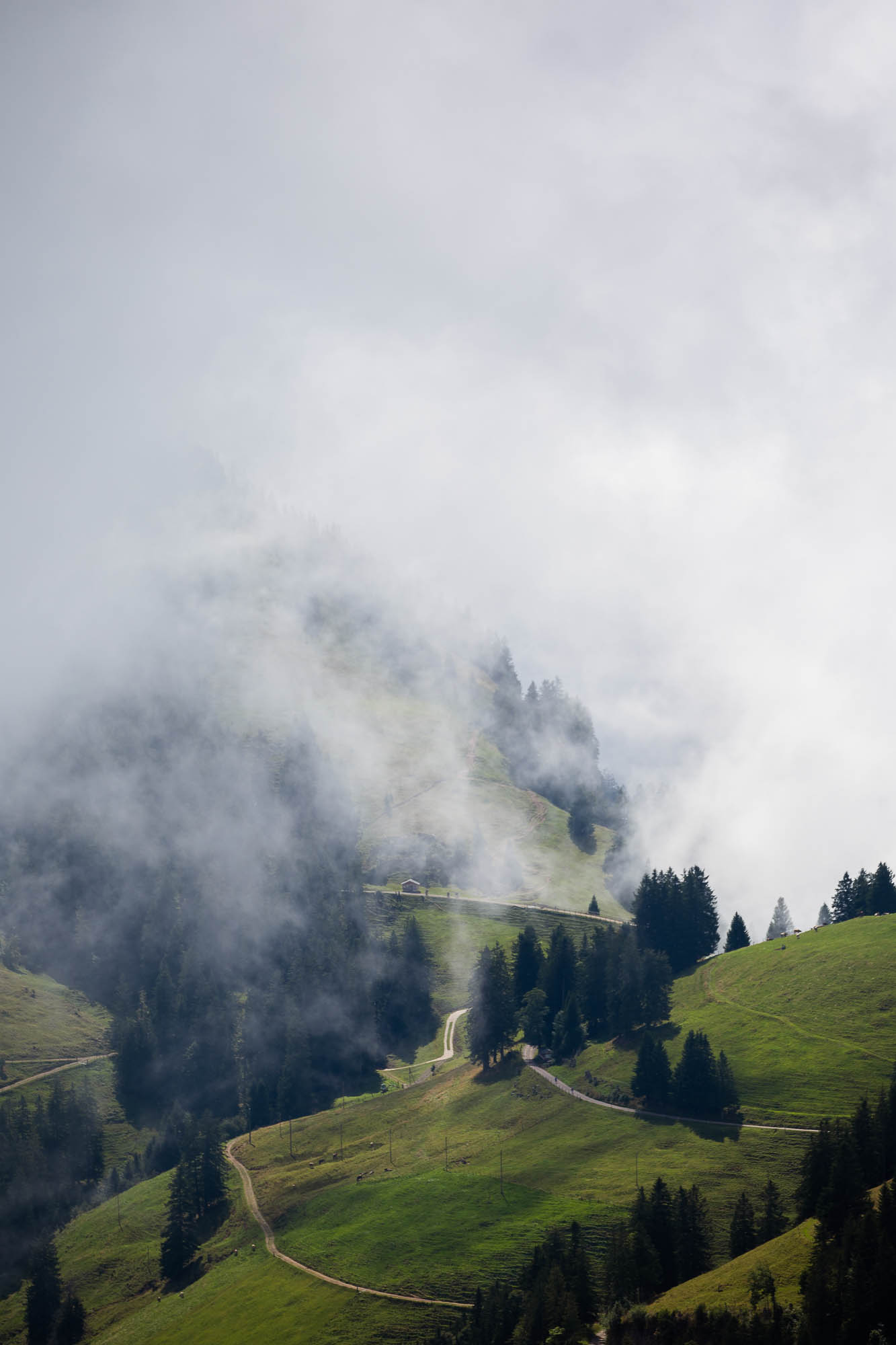 Export x3 R3  2944 Acceped