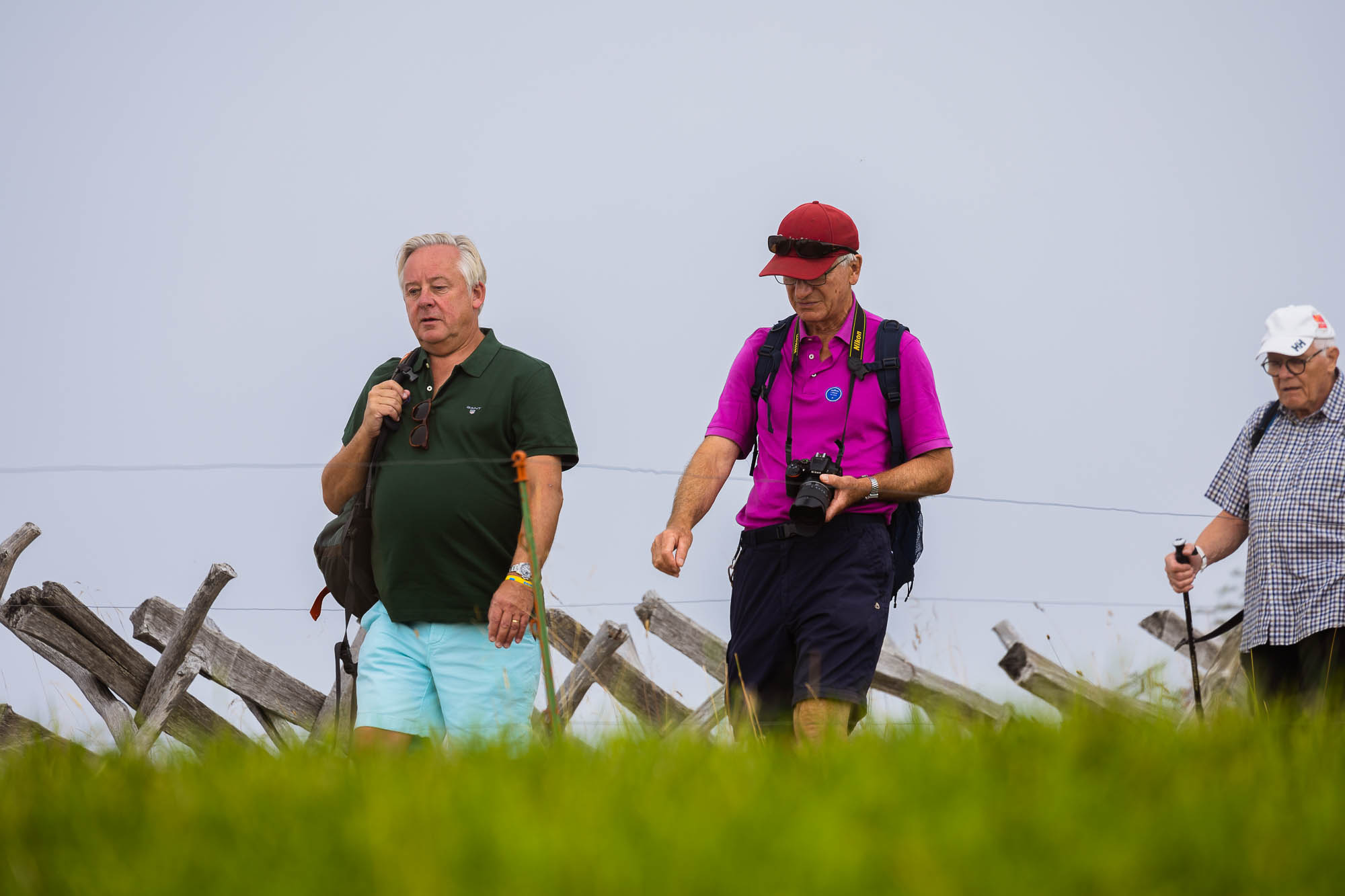 Export x3 R3  2952 Acceped