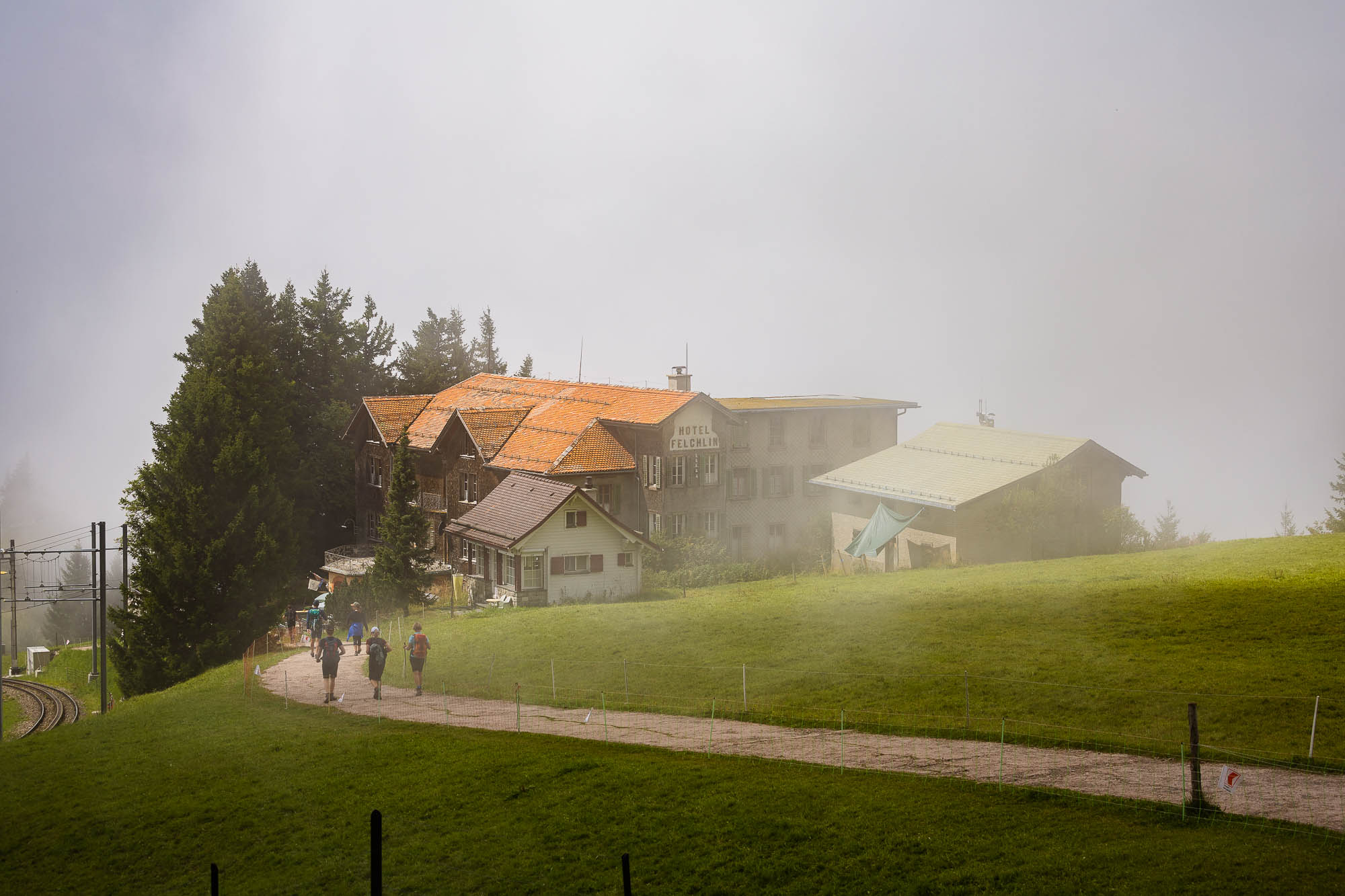 Export x3 R3  2955 Acceped