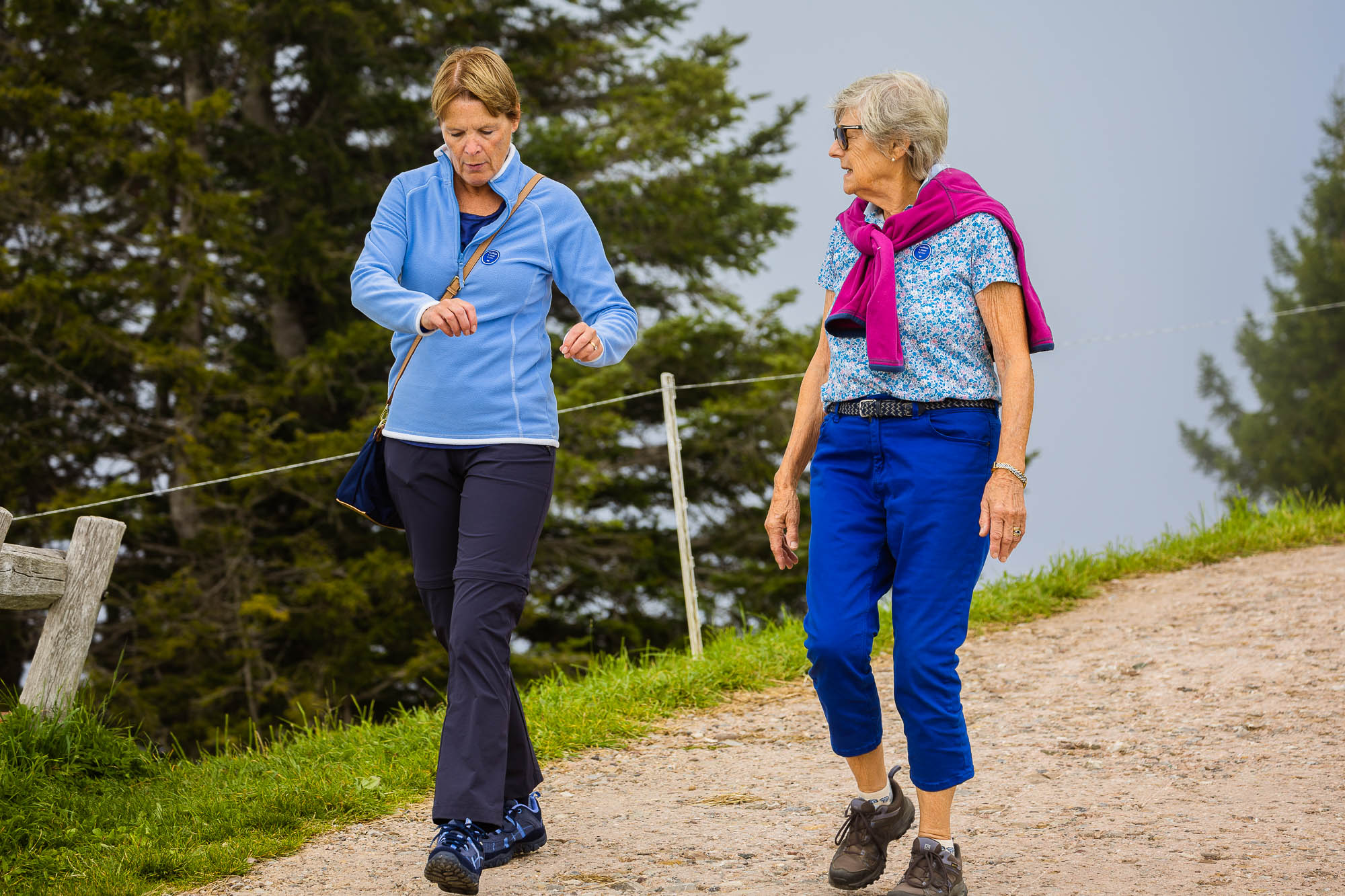 Export x3 R3  2957 Acceped