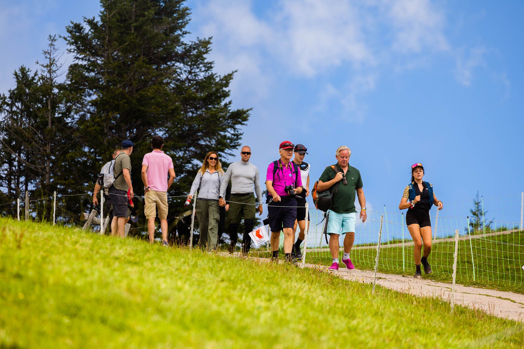 Export x3 R3  2959 Acceped