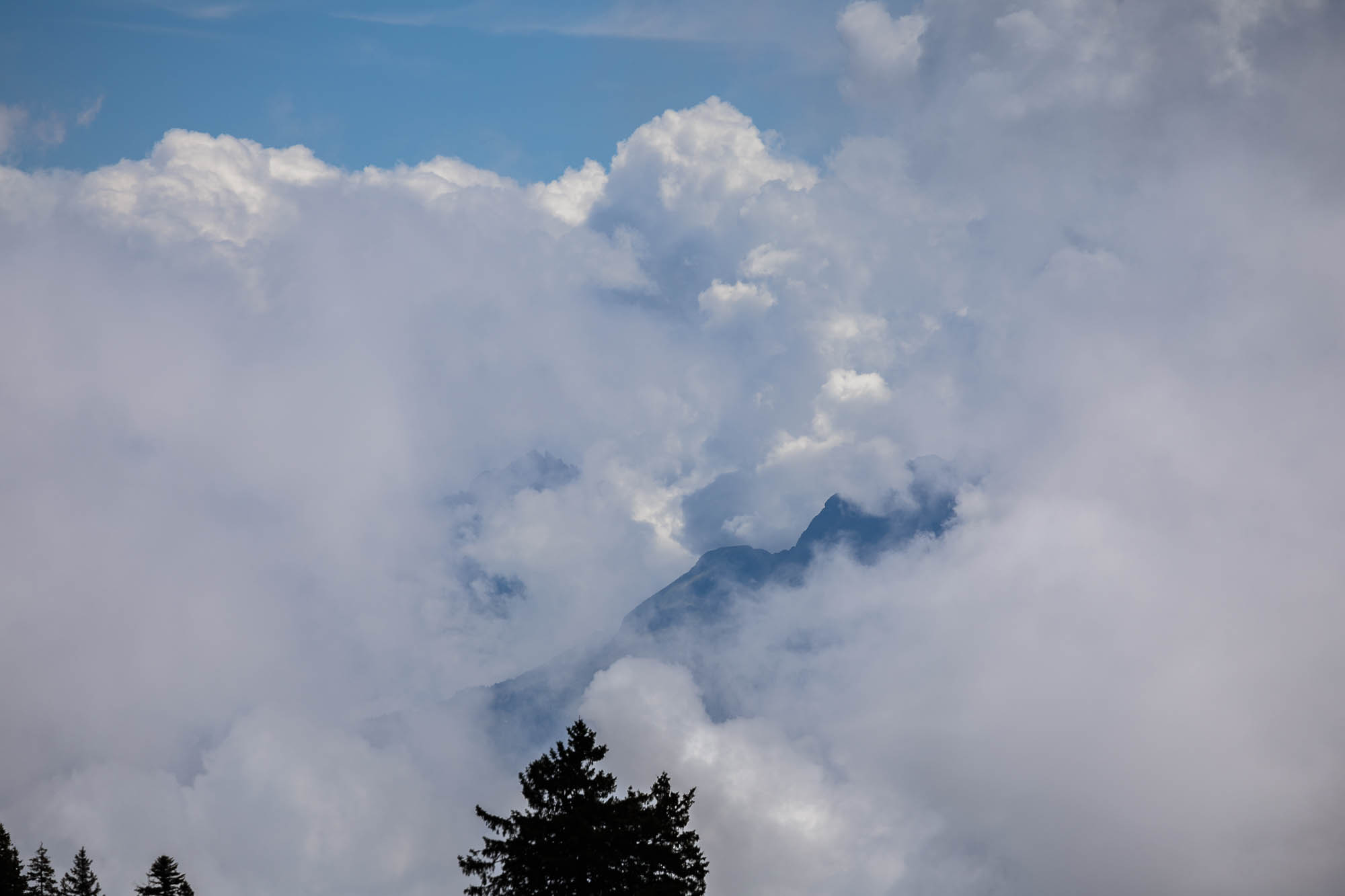 Export x3 R3  2971 Acceped