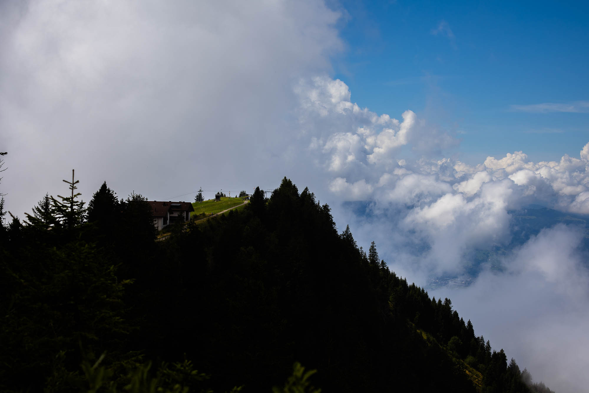 Export x3 R3  3013 Acceped