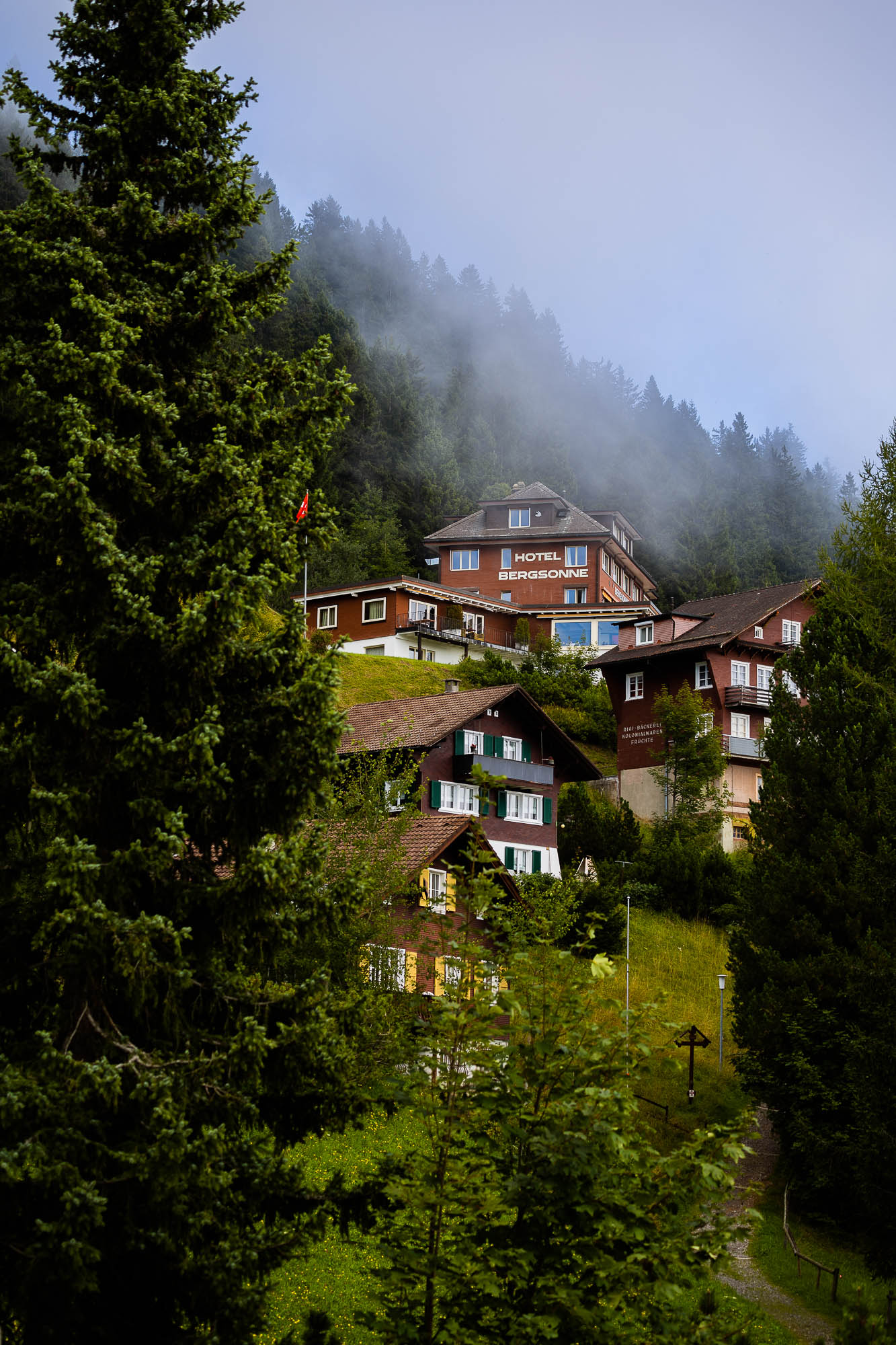 Export x3 R3  3014 Acceped