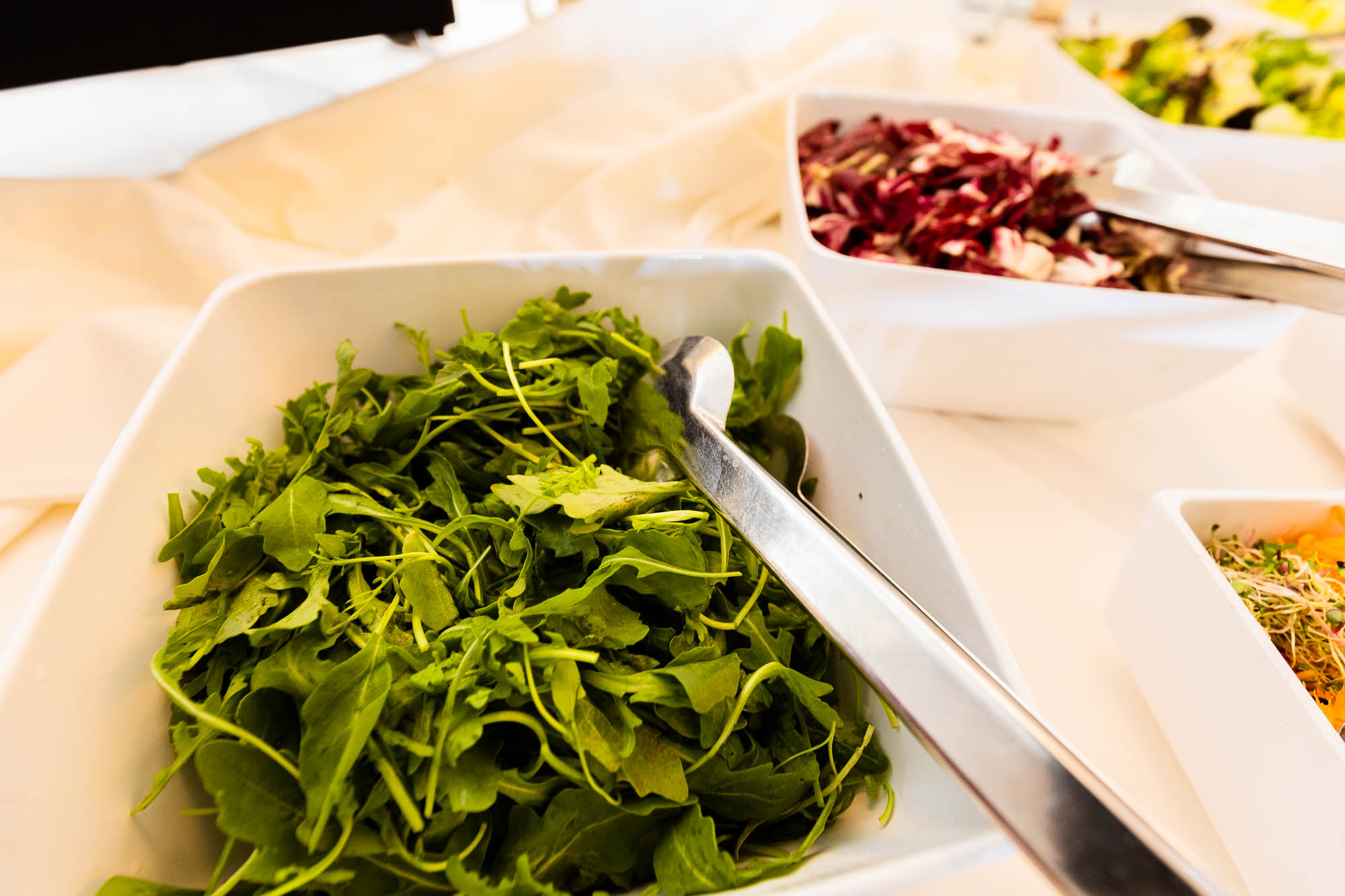 Export x3 R3  3049 Acceped